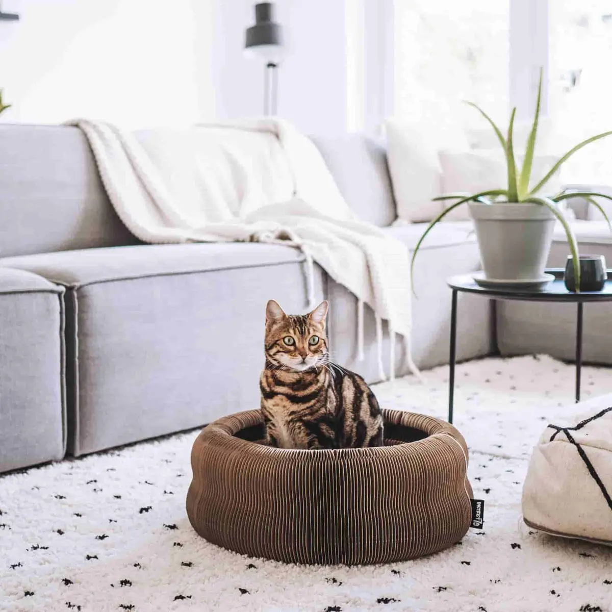 DISTRICT 70 Maze, 3-in-1, Jucarie Pat din Carton pentru Pisici 50 x 50 x 18cm - Image 7