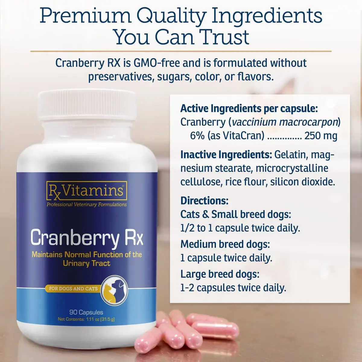 RX VITAMINS Cranberry, supliment sistem urinar caini, capsule RX VITAMINS Cranberry, supliment sistem urinar caini si pisici, flacon, 90 capsule - Image 3