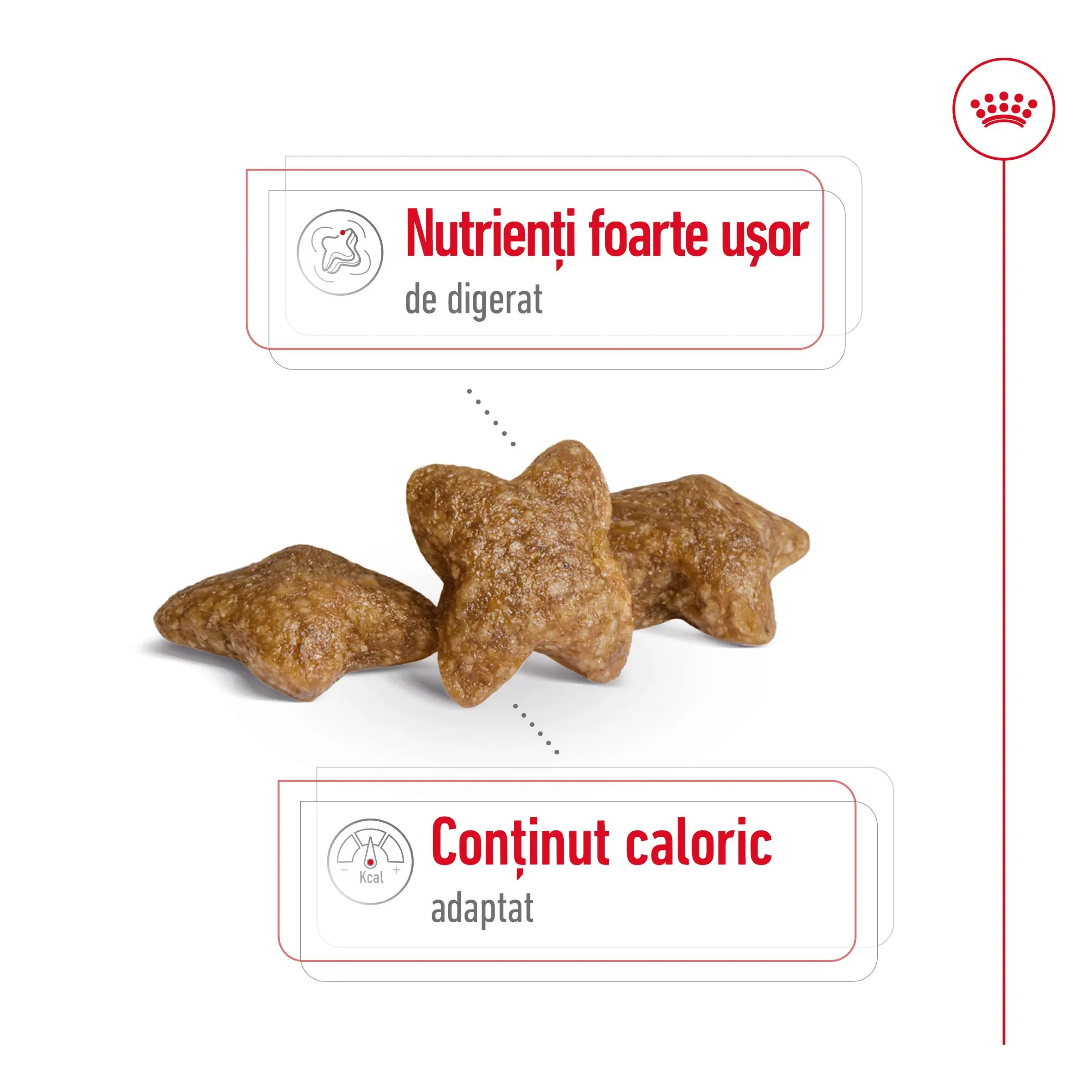 ROYAL CANIN Mini Adult, hrana uscata caini, 8+1kg GRATUIT - Image 5
