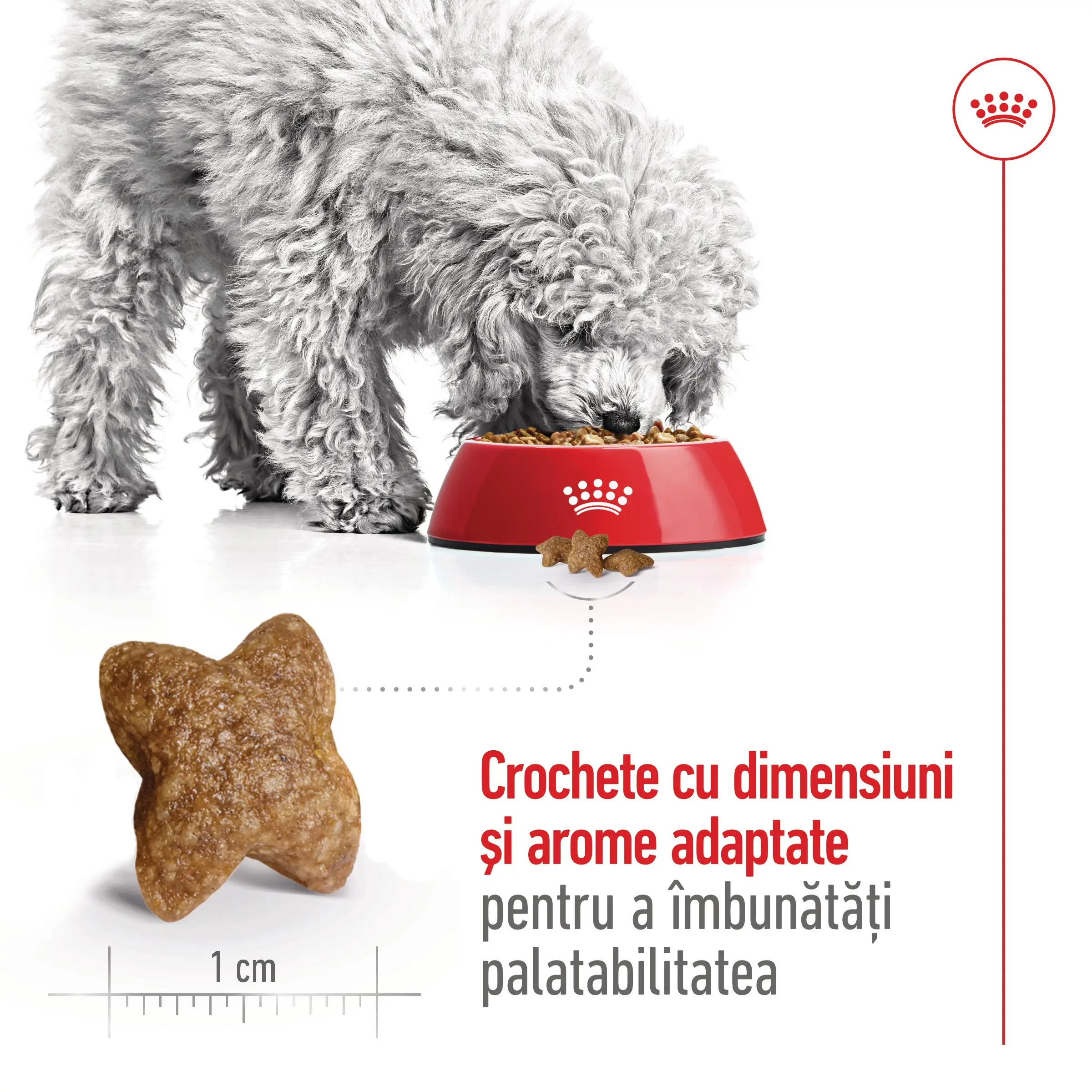 ROYAL CANIN Mini Adult, hrana uscata caini, 8+1kg GRATUIT - Image 6
