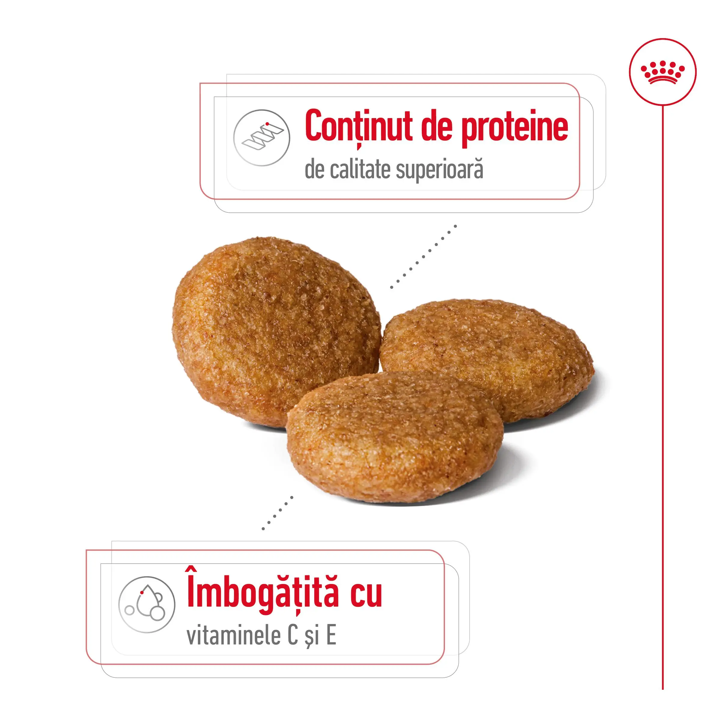 ROYAL CANIN Medium Adult, hrana uscata caini, 15+3kg GRATUIT - Image 5