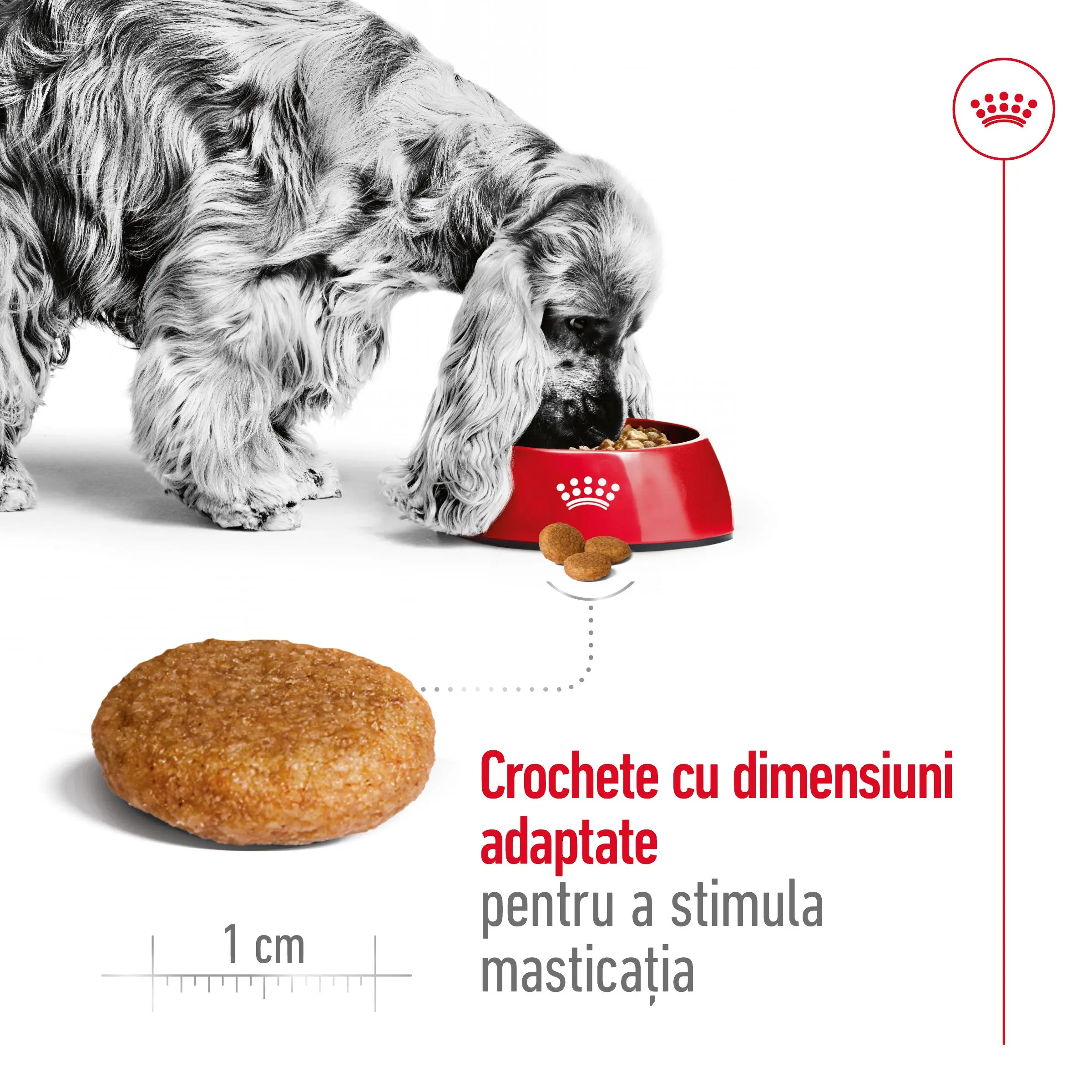 ROYAL CANIN Medium Adult, hrana uscata caini, 15+3kg GRATUIT - Image 6