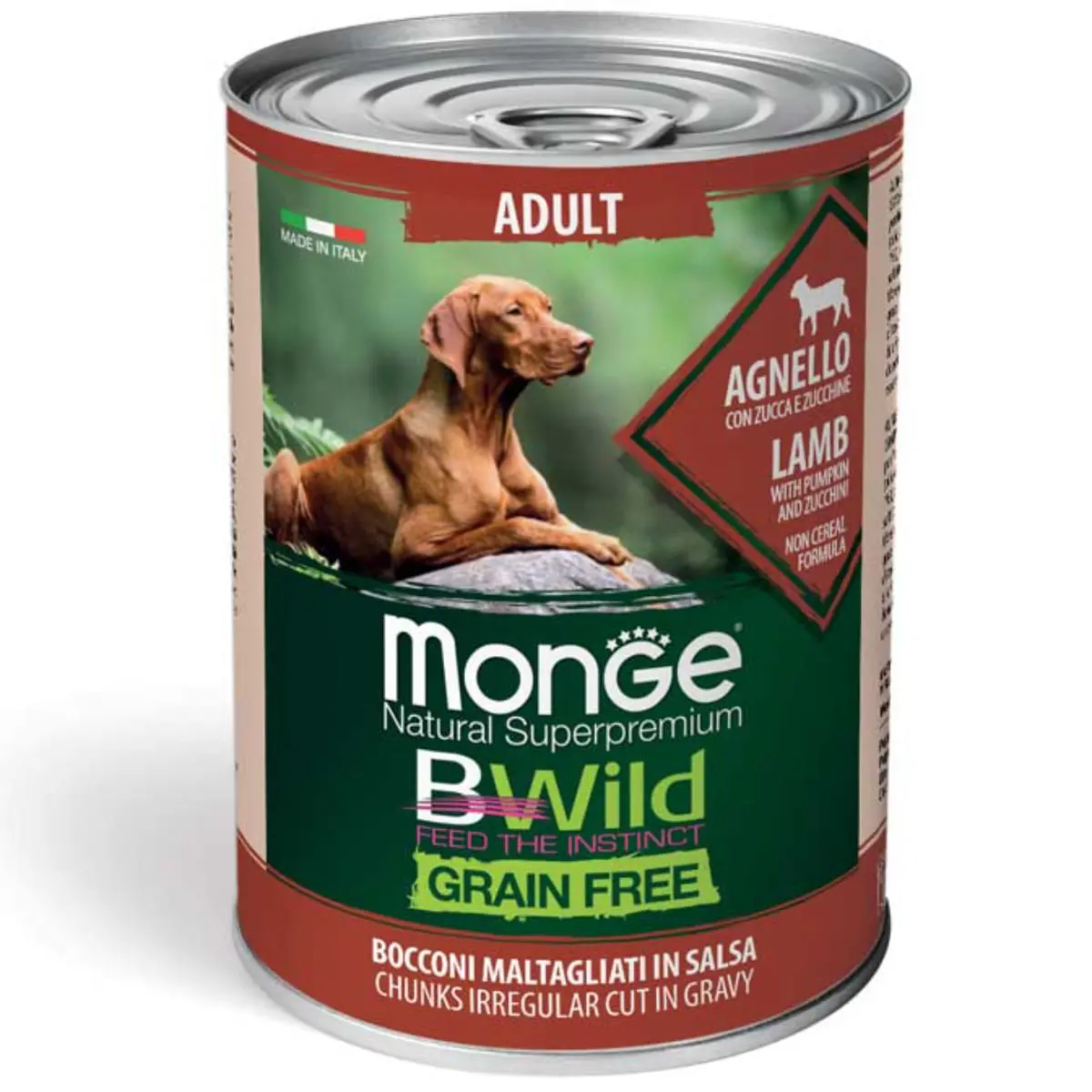 MONGE BWild, XS-XL, Miel si dovleac, conserva hrana umeda fara cereale caini, (in sos), 400g