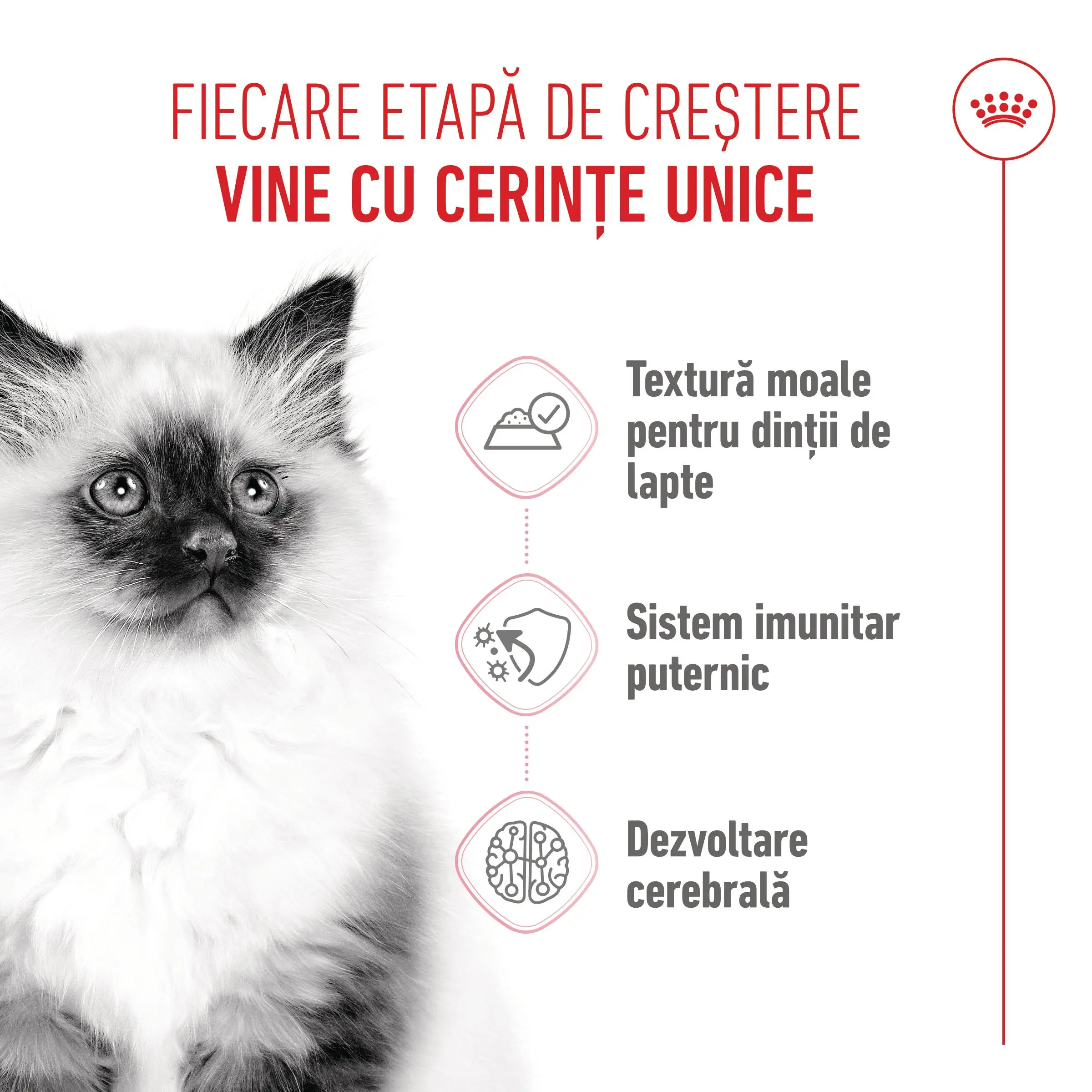 ROYAL CANIN Kitten, hrana umeda pisici junior, (pate), 85g - Image 4