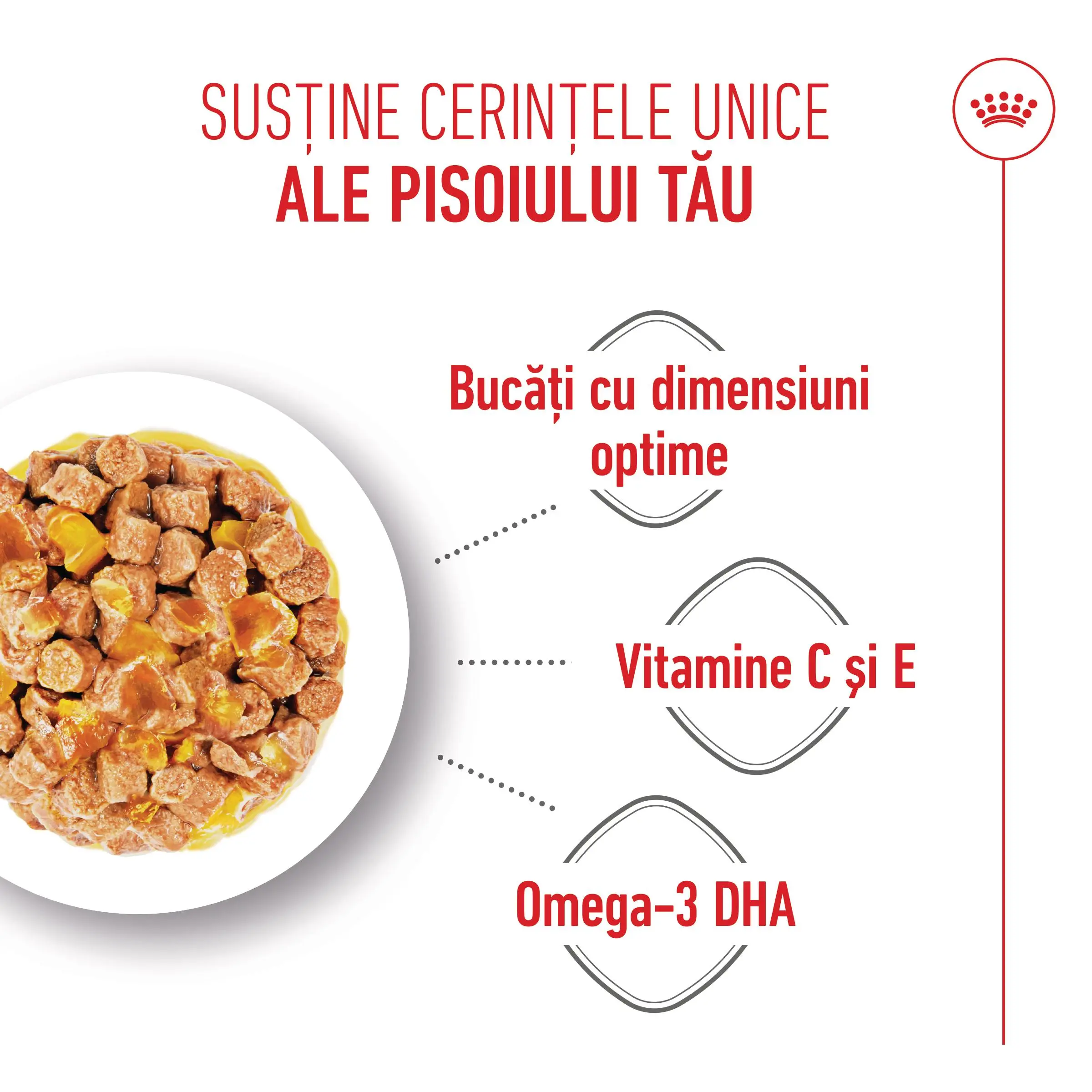 ROYAL CANIN Kitten, hrana umeda pisici, (in aspic), bax, 85g x 12buc - Image 4