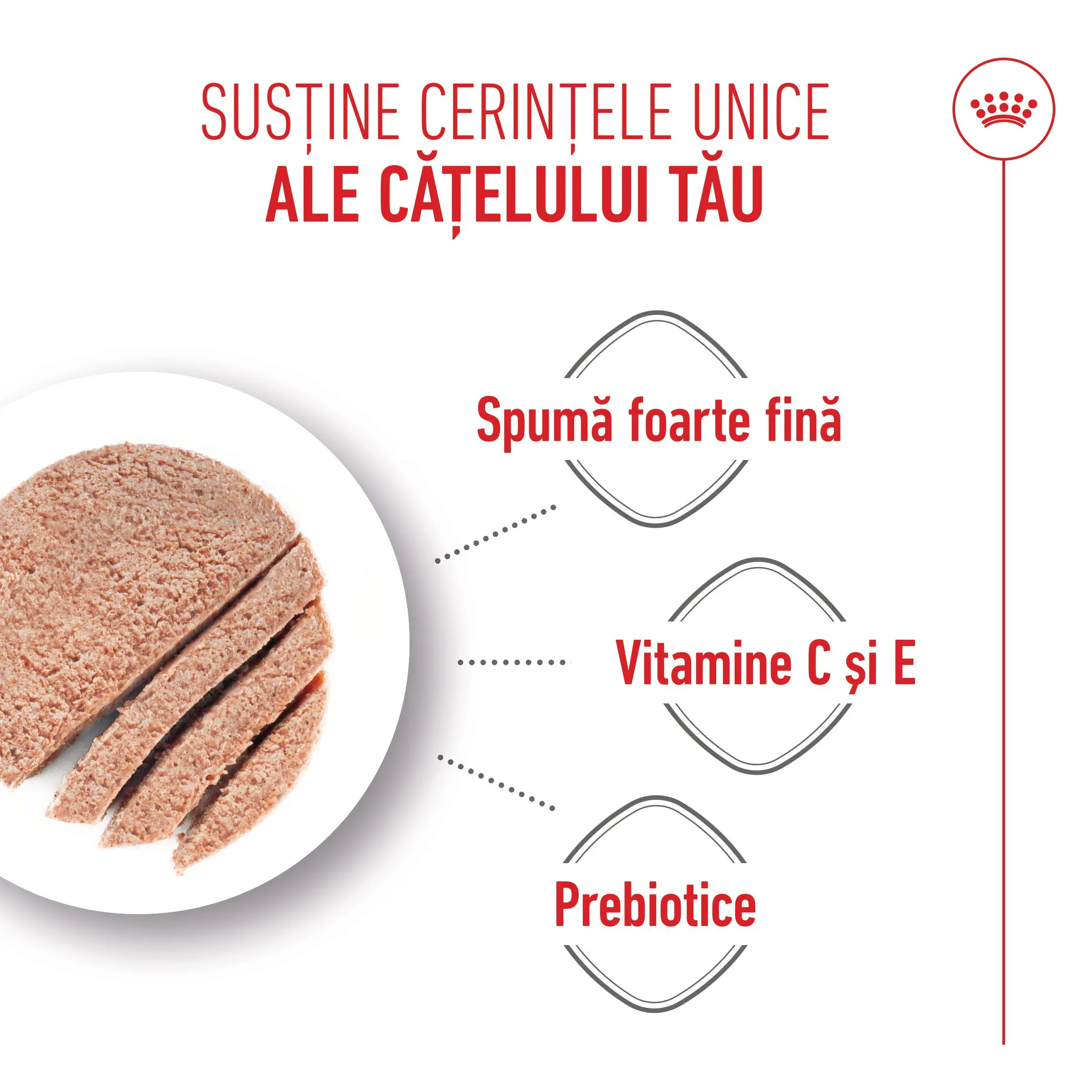 ROYAL CANIN Starter Mousse, mama si puiul, conserva hrana umeda caini, (mousse), 195g - Image 5