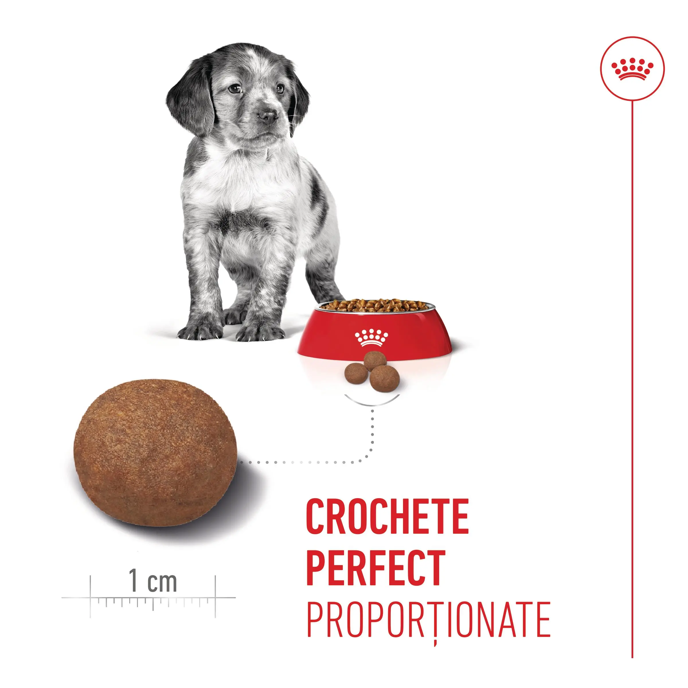ROYAL CANIN Medium Puppy, hrana uscata caini junior, 1kg - Image 6