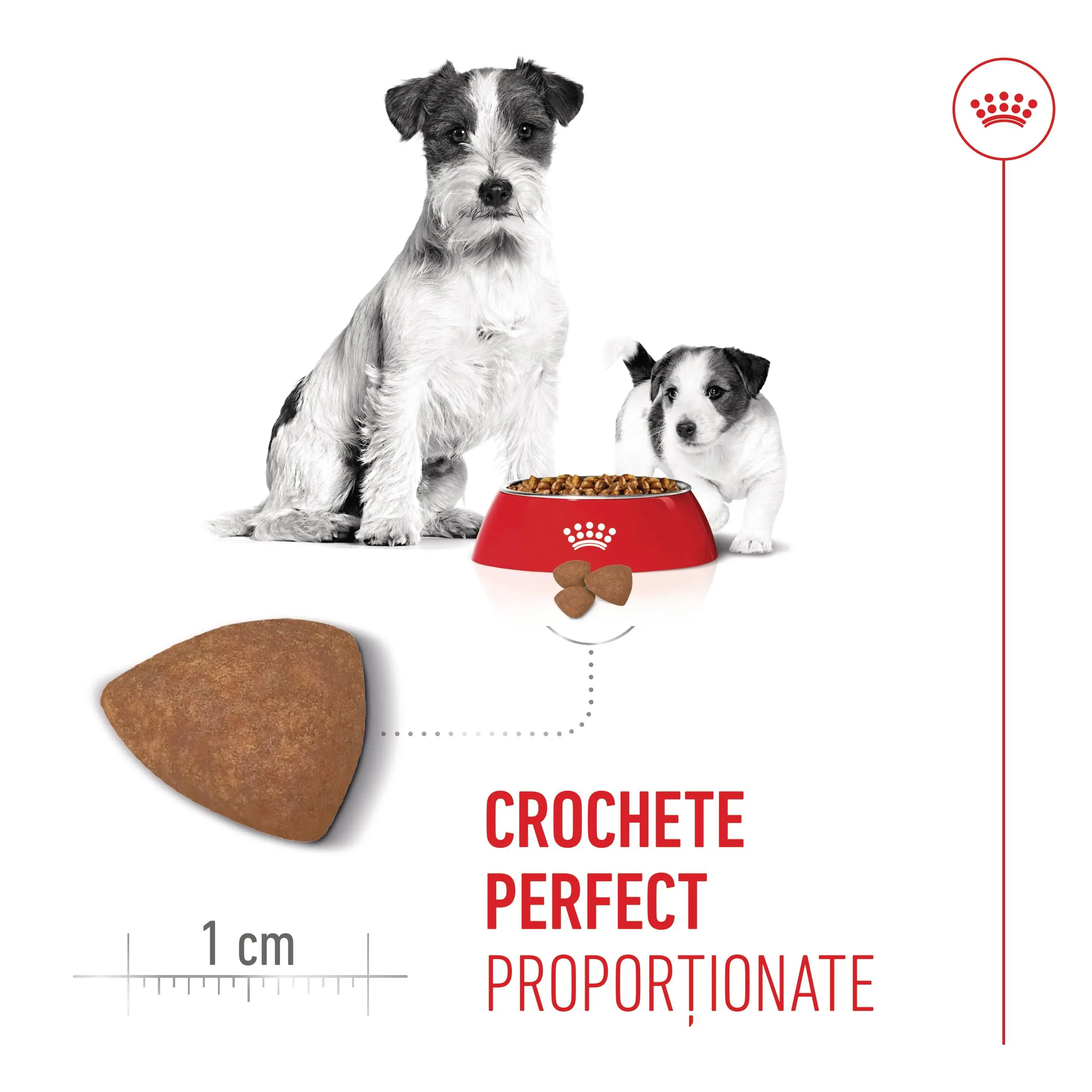 ROYAL CANIN Mini Starter Mother & Babydog, mama si puiul, hrana uscata caini, 1kg - Image 6
