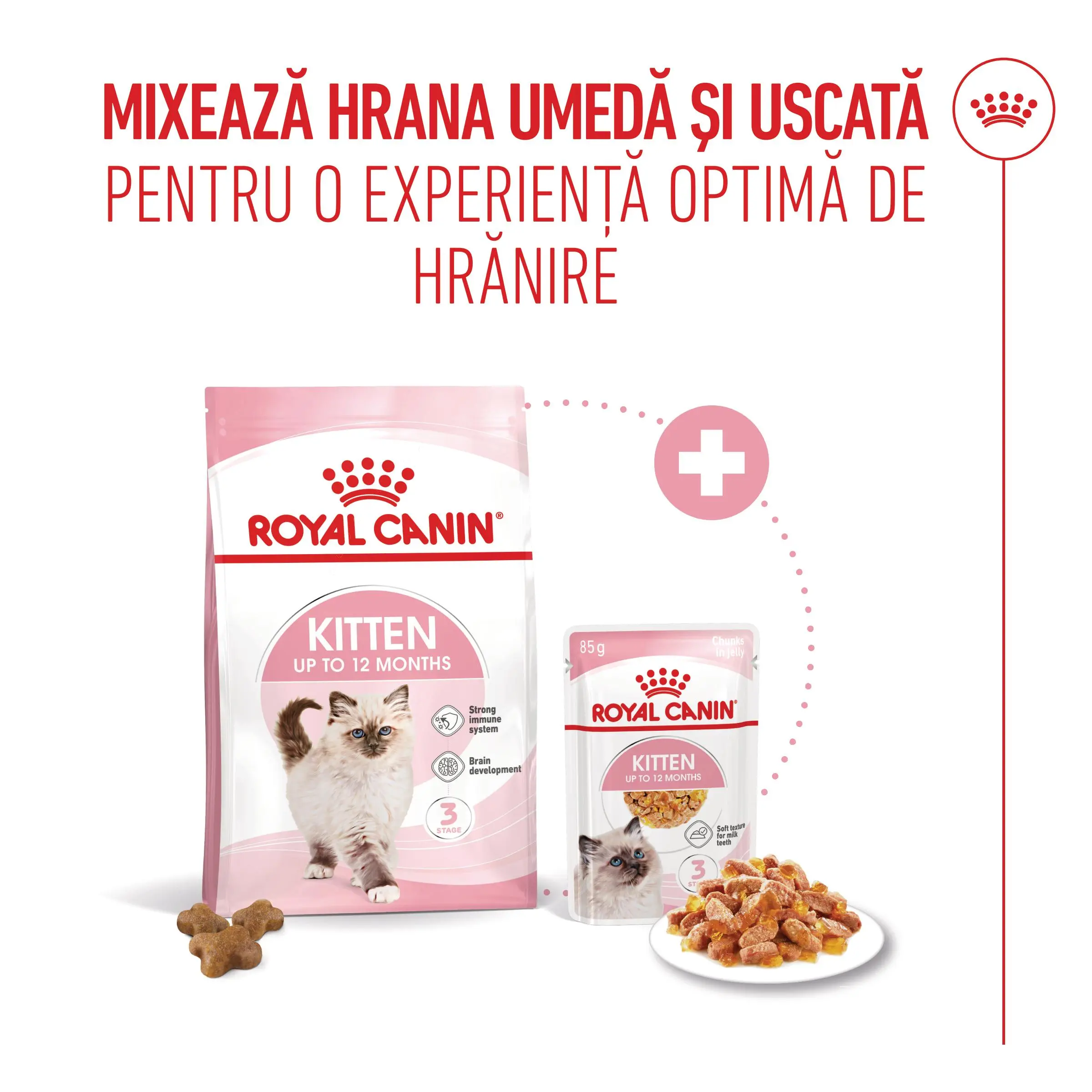 ROYAL CANIN Kitten, hrana umeda pisici, (in aspic), bax, 85g x 12buc - Image 7