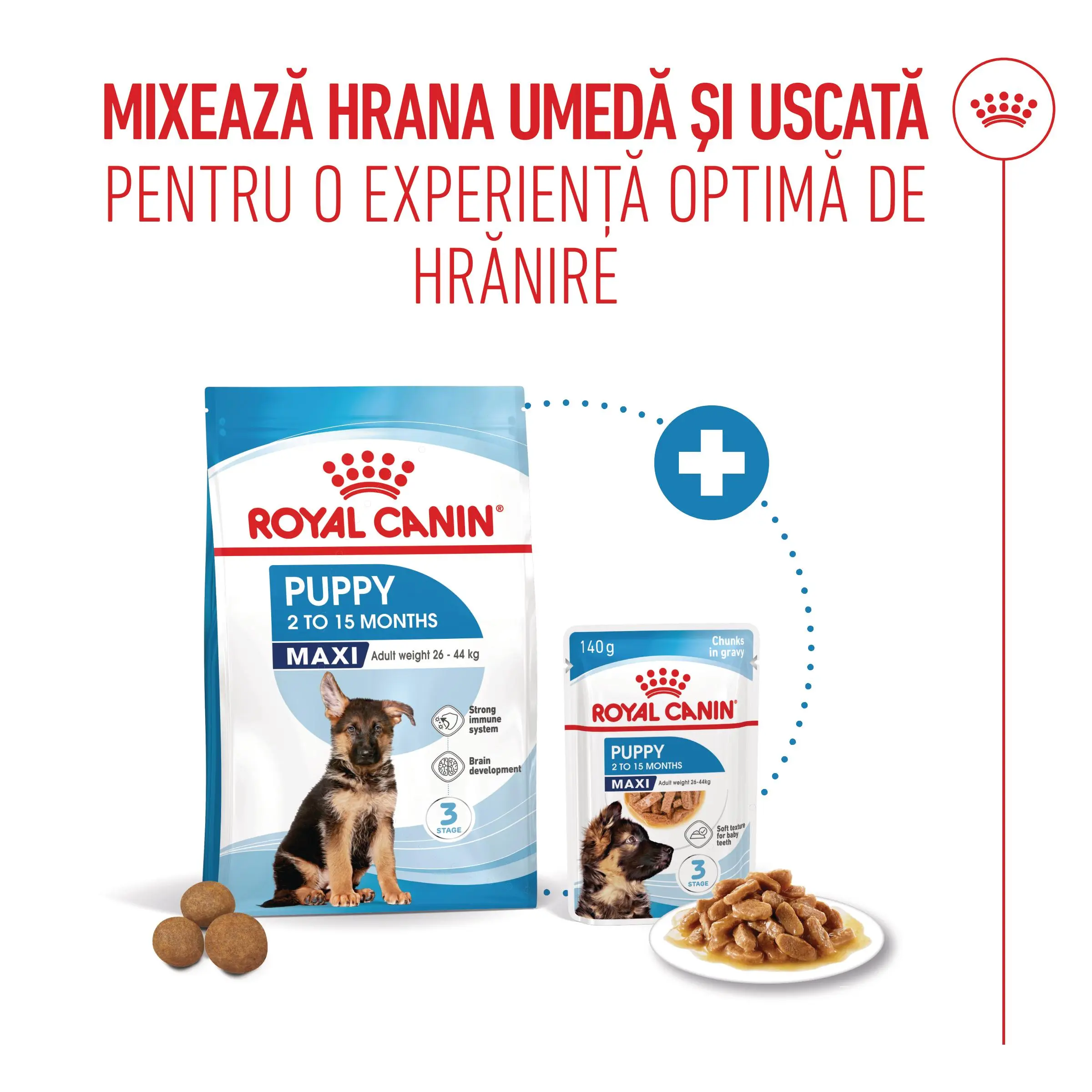 ROYAL CANIN Maxi Puppy, hrana umeda caini junior, (in sos), bax, 140g x 10buc - Image 8