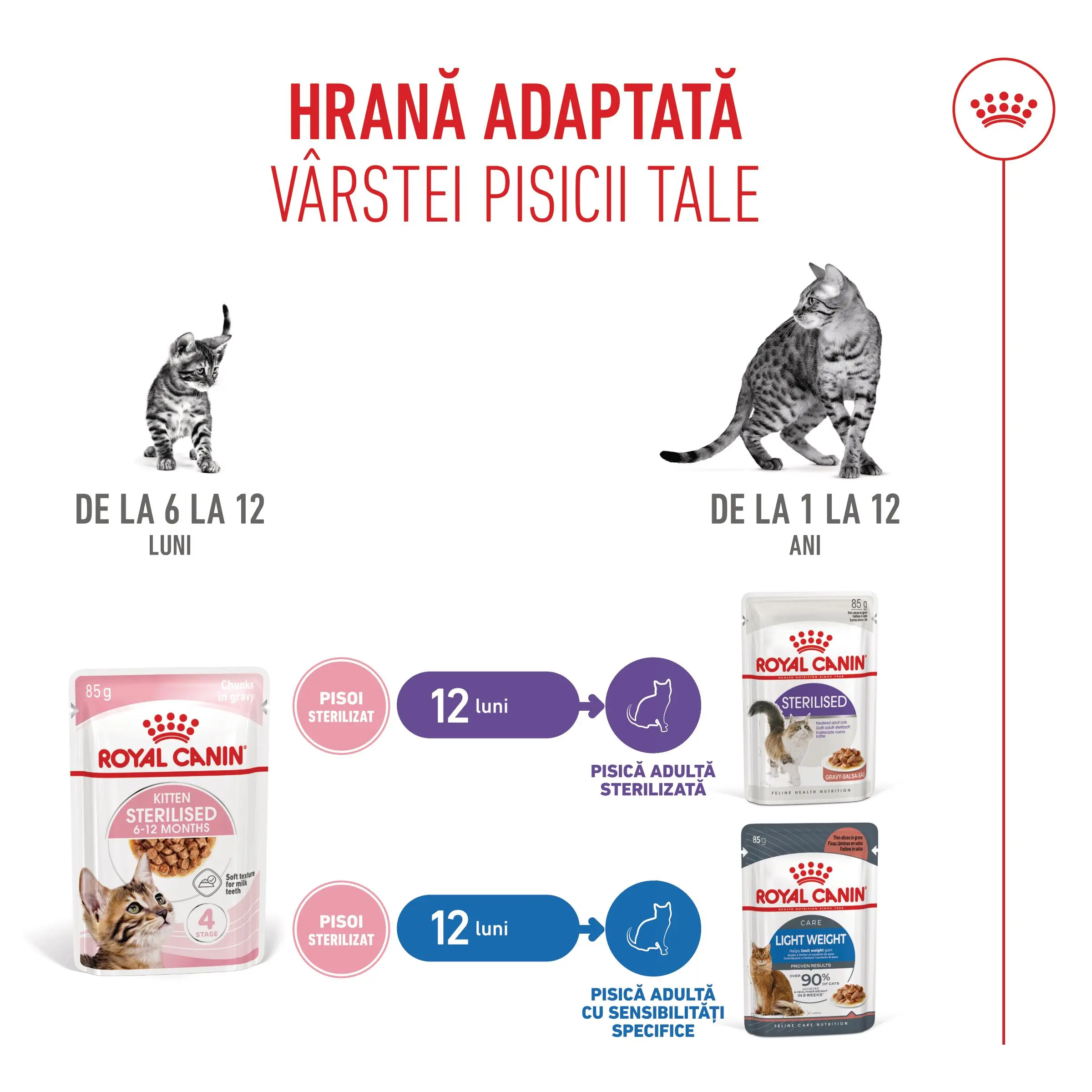 ROYAL CANIN Kitten Sterilised hrana umeda pisici sterilizate junior (in sos), bax, 85g x 12buc - Image 8