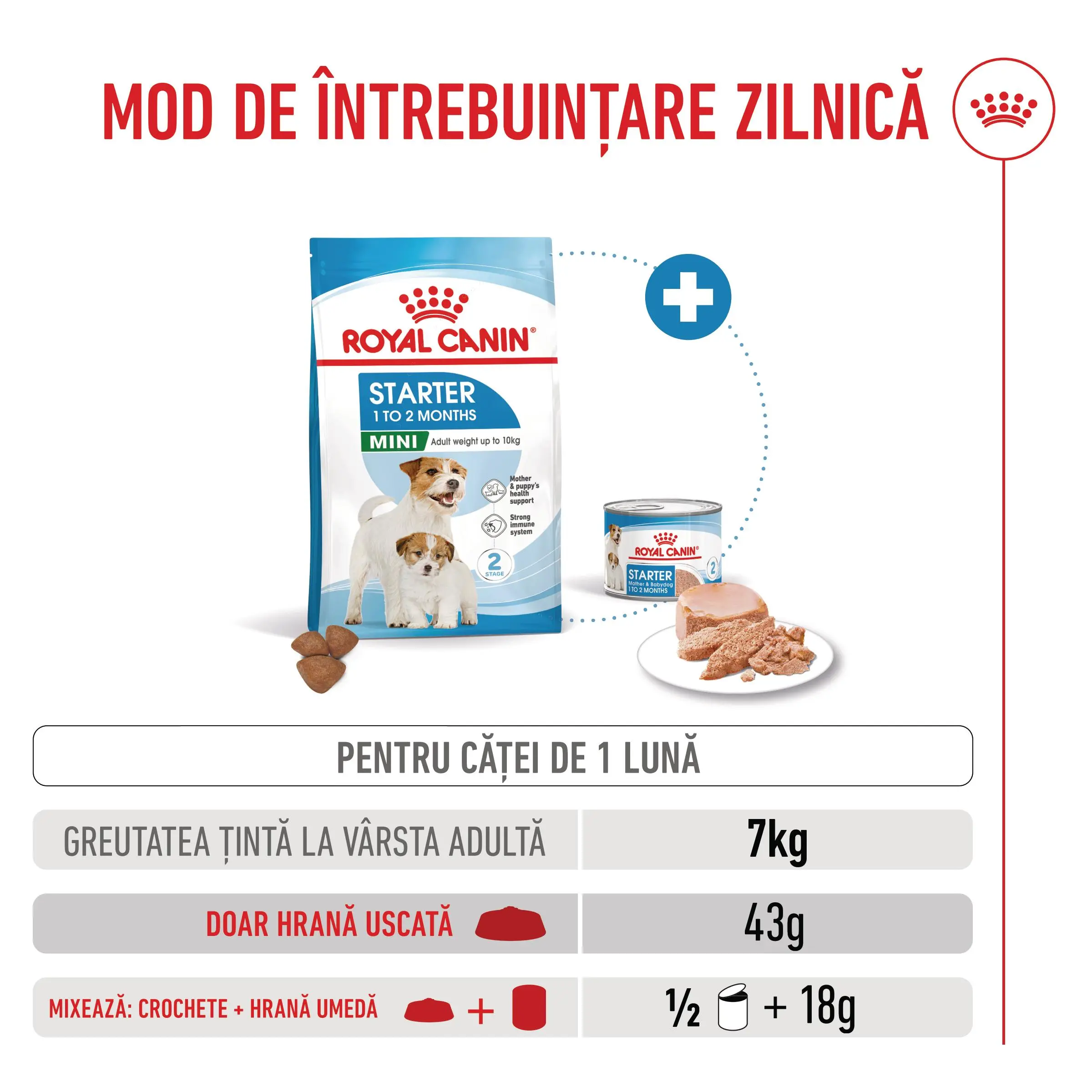 ROYAL CANIN Mini Starter Mother & Babydog, mama si puiul, hrana uscata caini, 1kg - Image 8