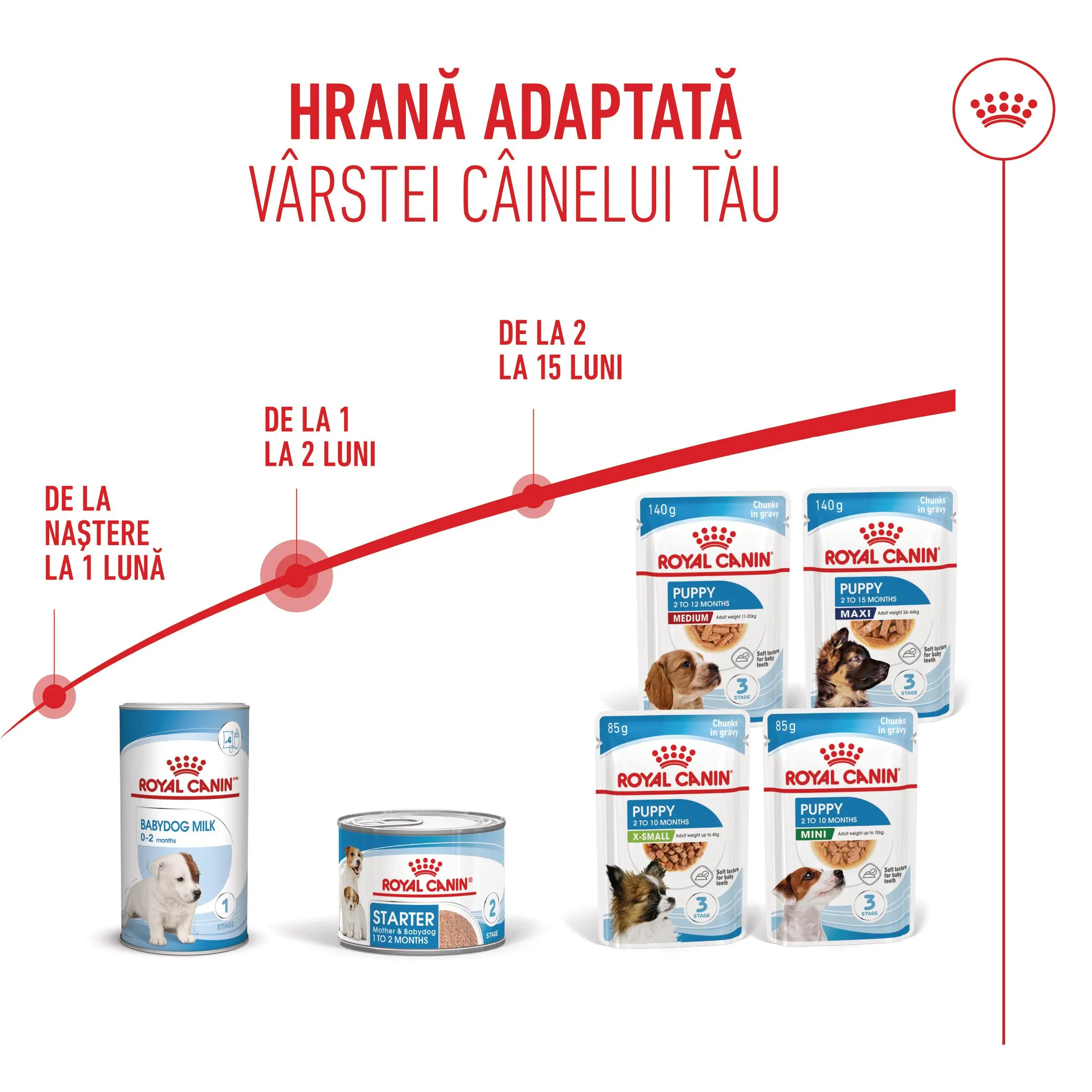 ROYAL CANIN Starter Mousse, mama si puiul, conserva hrana umeda caini, (mousse), 195g - Image 9