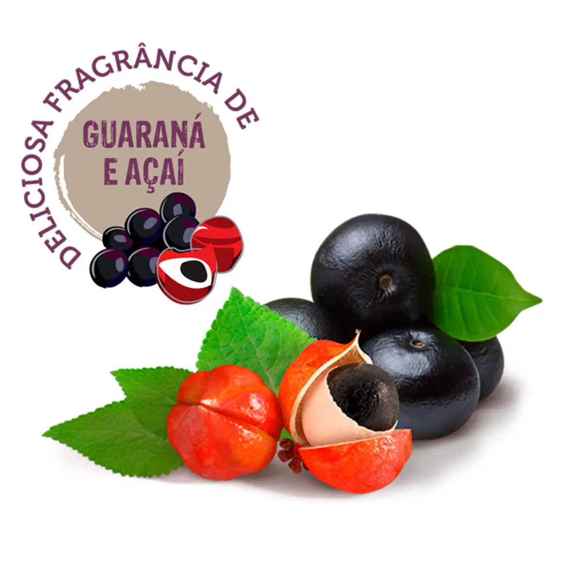 MEGAMAZON Forest Energy, sampon caini si pisici, Guarana si Acai, flacon, 300ml - Image 3