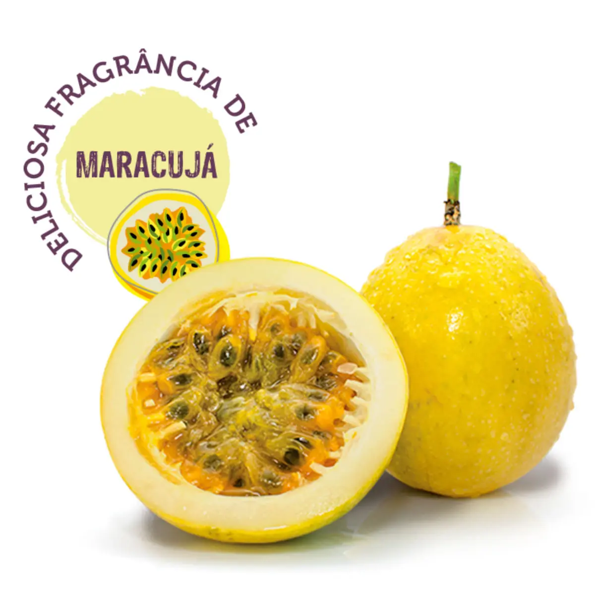 MEGAMAZON Forest Balance, sampon caini si pisici, Fructul Pasiunii, flacon, 300ml - Image 3