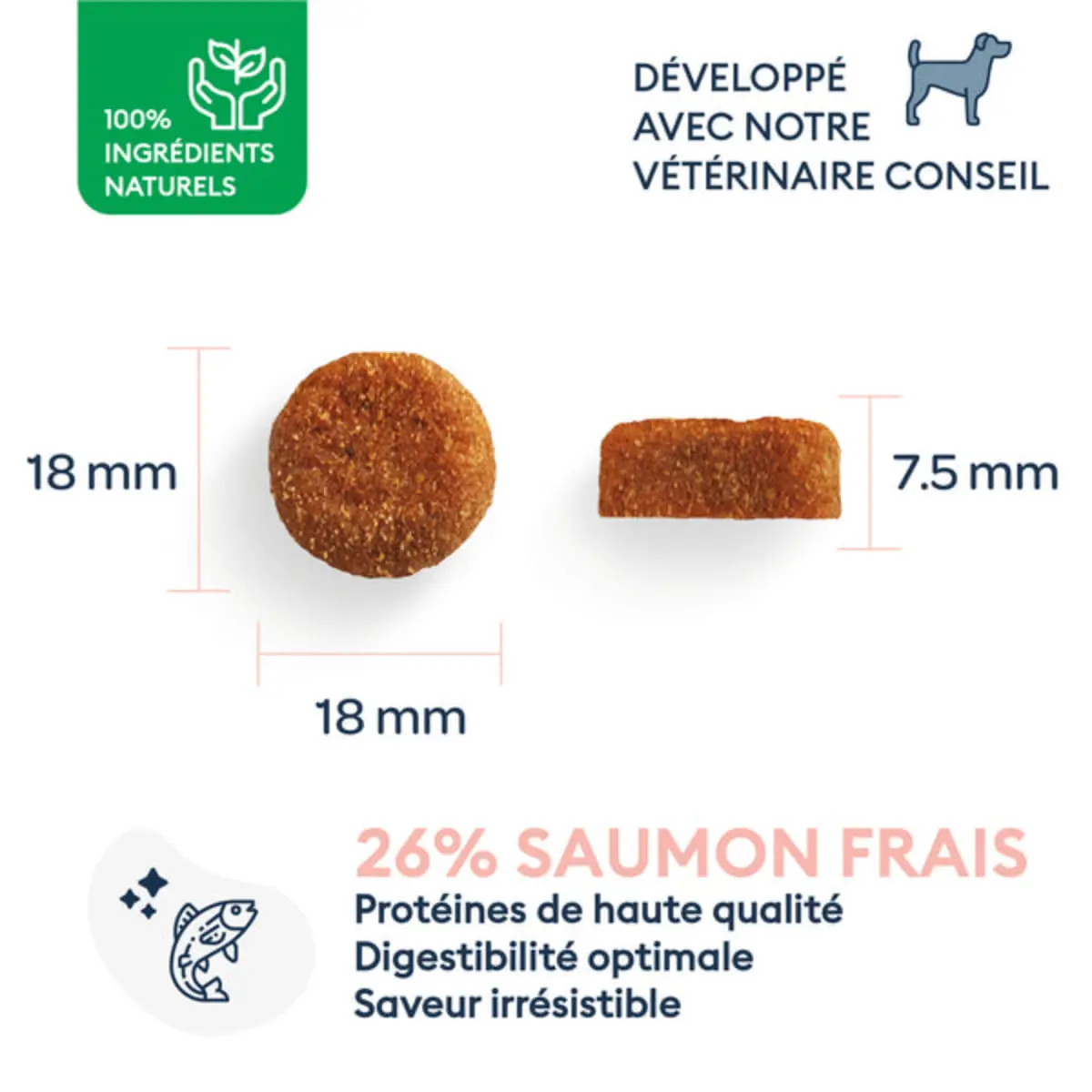 MARLY&DAN Adult Large Breed, L-XL, Somon, hrana uscata fara cereale caini, 12kg - Image 3