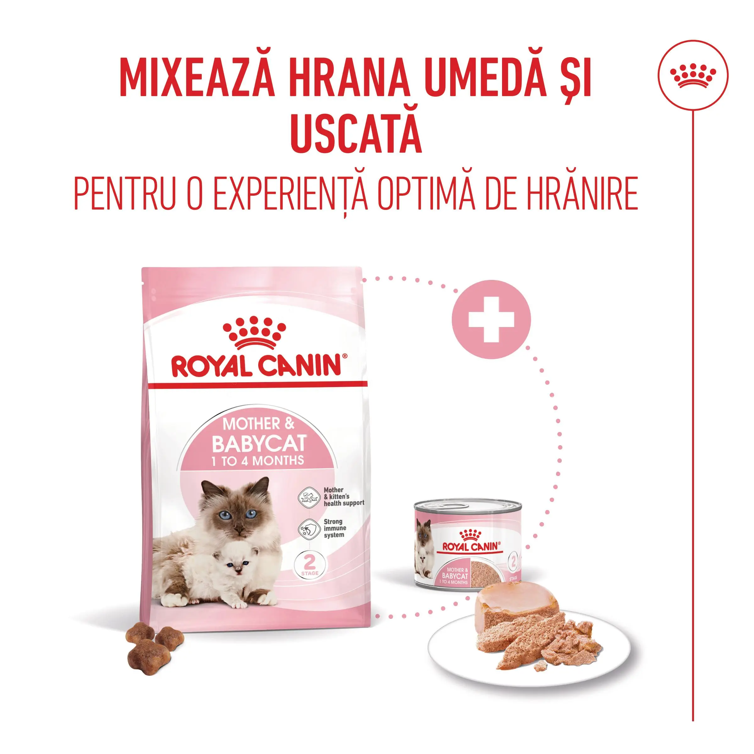 ROYAL CANIN Mother & BabyCat, hrana uscata pisici, mama si puiul, 2kg - Image 10