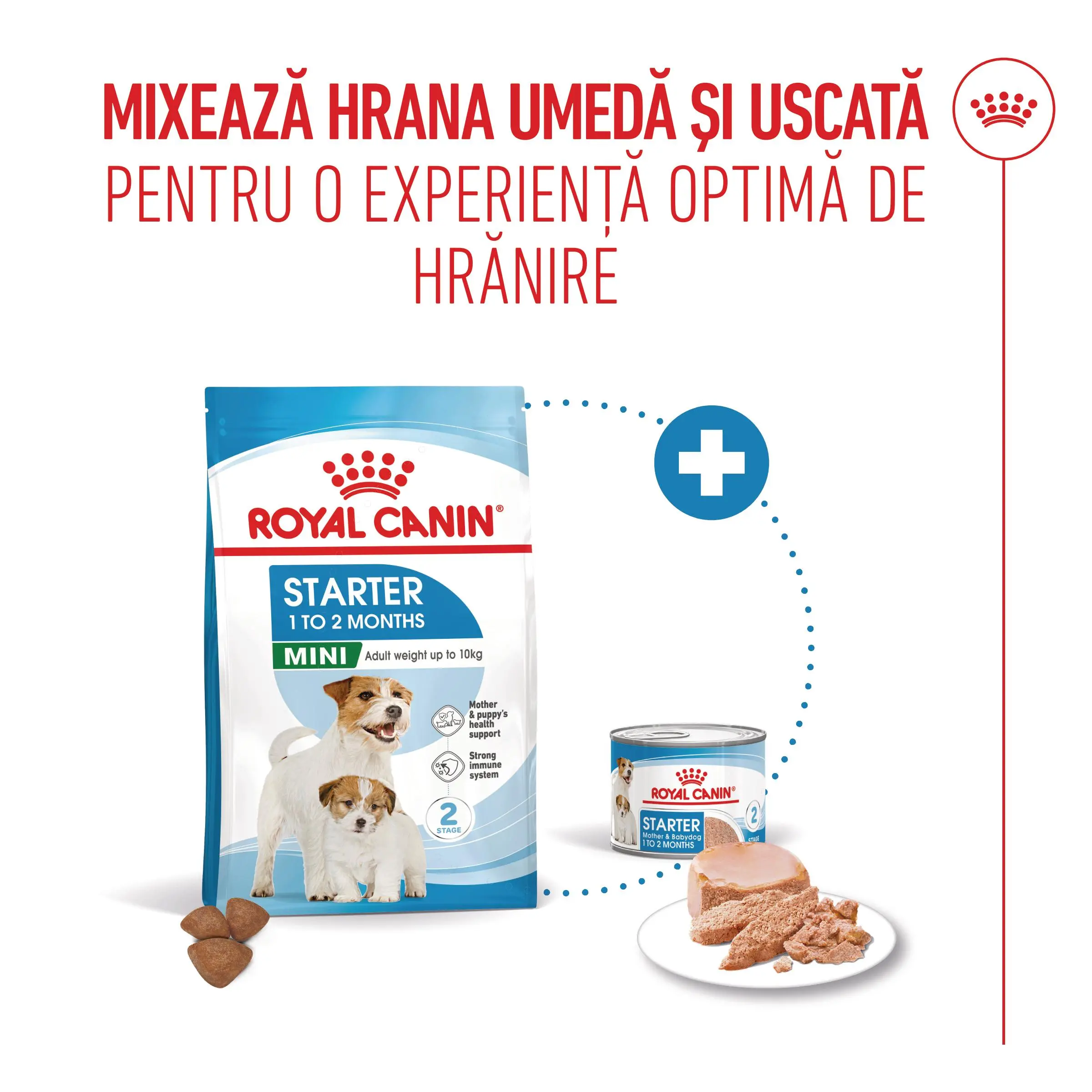 ROYAL CANIN Mini Starter Mother & Babydog, mama si puiul, hrana uscata caini, 1kg - Image 10