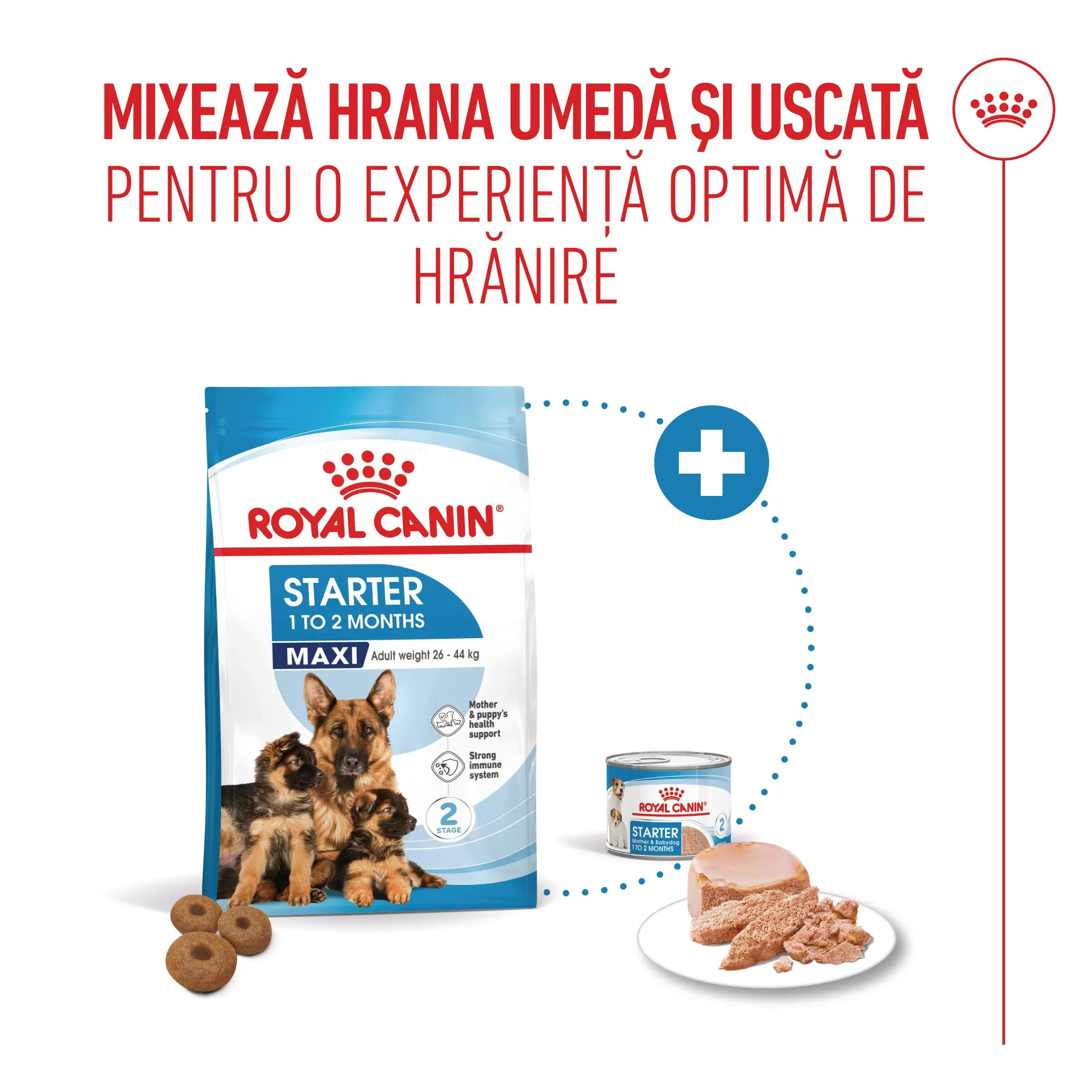 ROYAL CANIN Maxi Starter Mother & Babydog, mama si puiul, hrana uscata caini, 15kg - Image 10