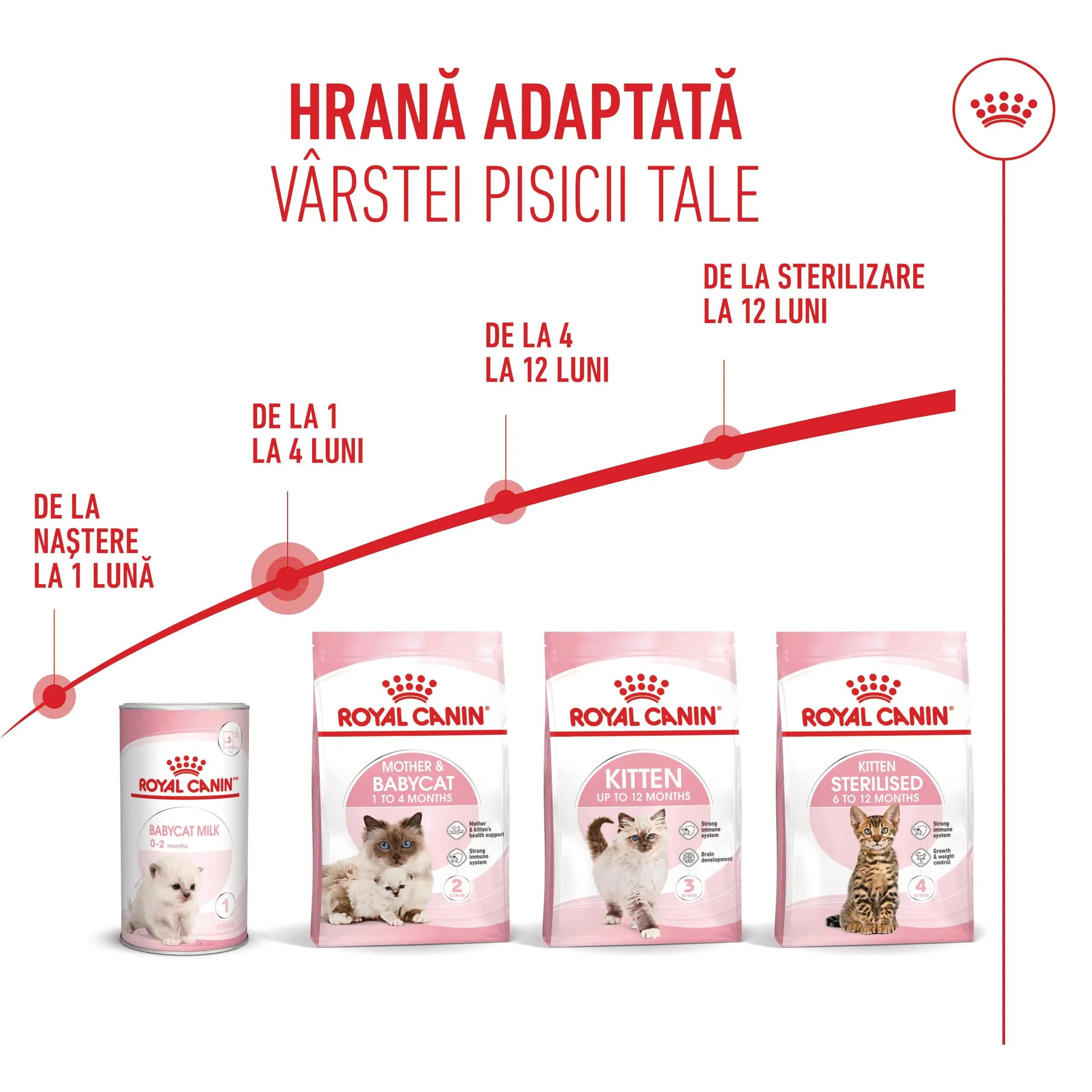 ROYAL CANIN Mother & BabyCat, hrana uscata pisici, mama si puiul, 2kg - Image 11