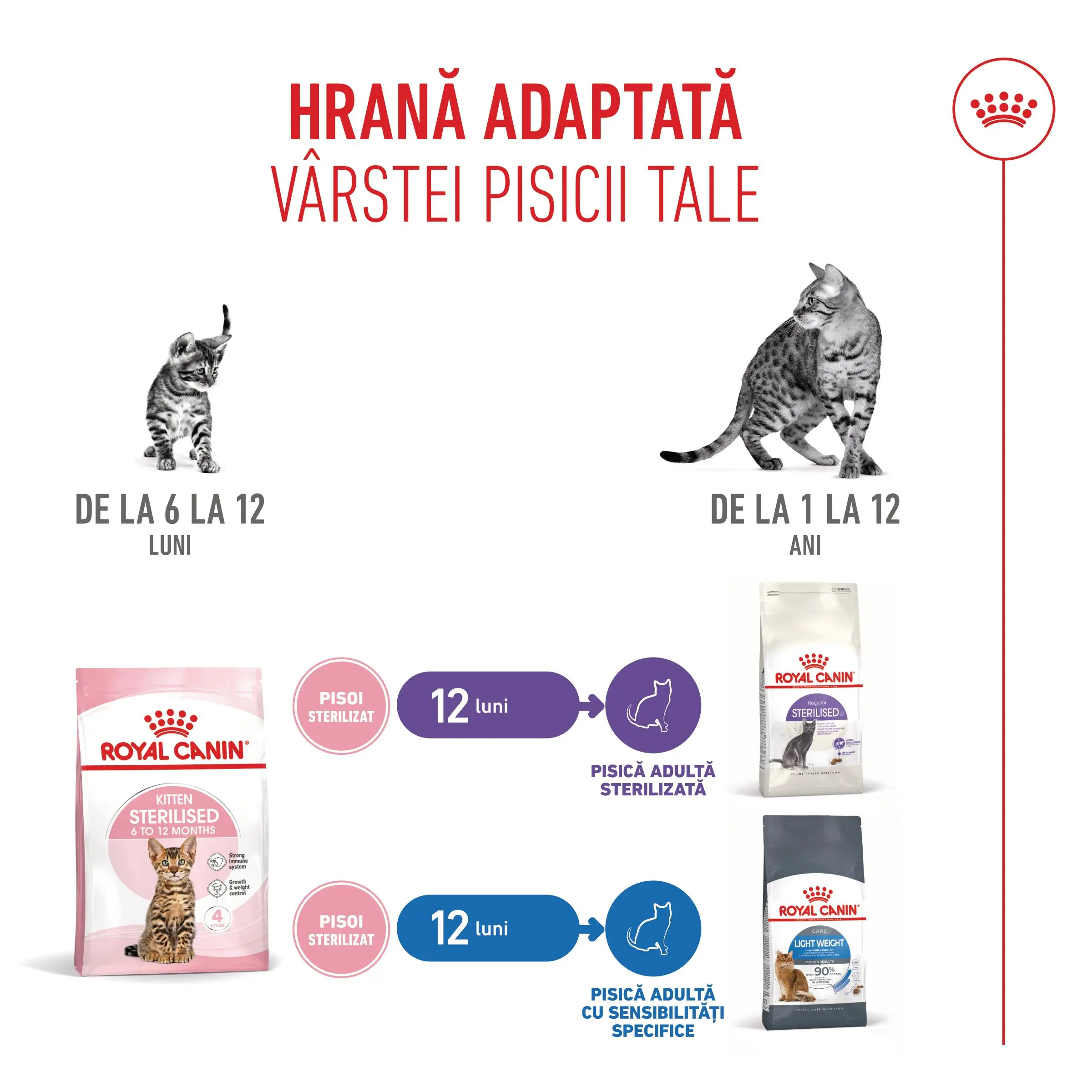 ROYAL CANIN Kitten Sterilised, hrana uscata pisici sterilizate junior, 2kg - Image 11