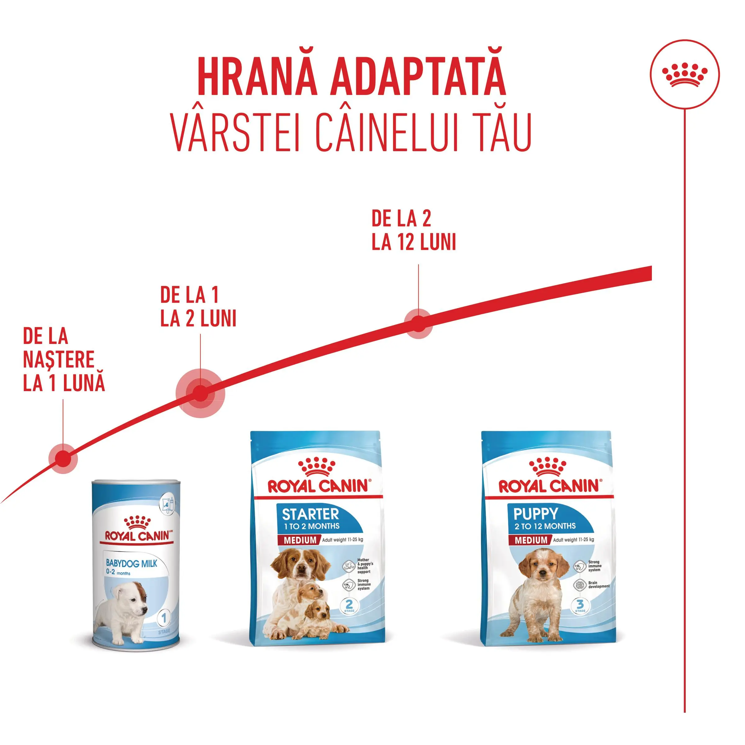 ROYAL CANIN Medium Starter Mother & Babydog, mama si puiul, hrana uscata caini, 15kg - Image 11