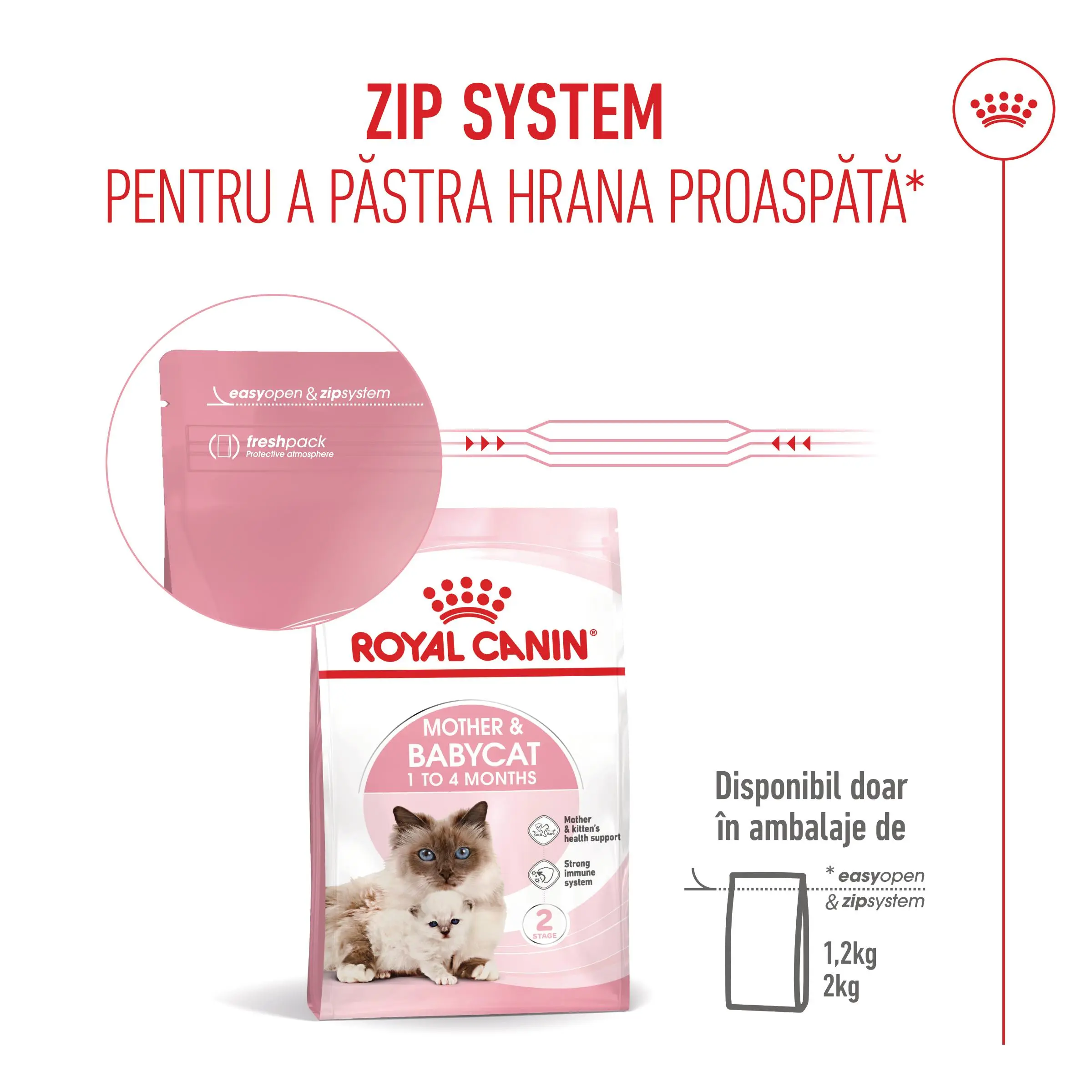 ROYAL CANIN Mother & BabyCat, hrana uscata pisici, mama si puiul, 2kg - Image 12