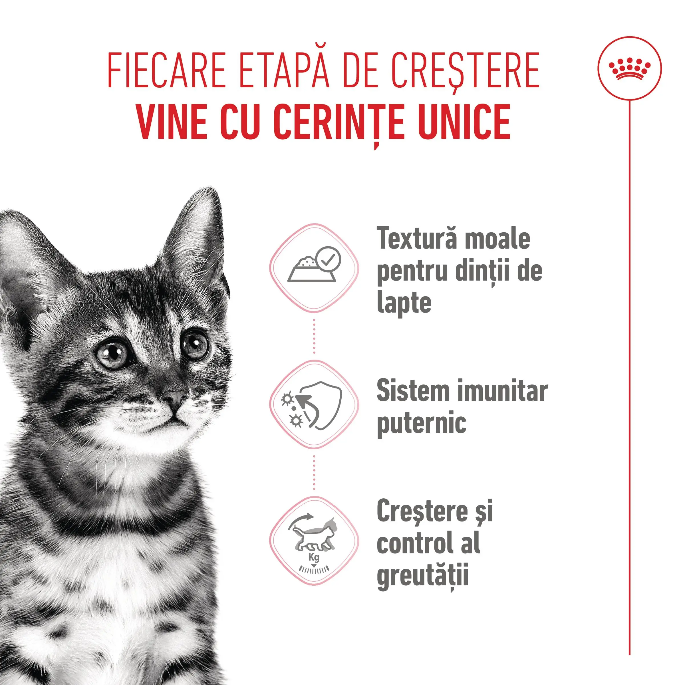 ROYAL CANIN Kitten Sterilised hrana umeda pisici sterilizate junior (in sos), 85g - Image 4