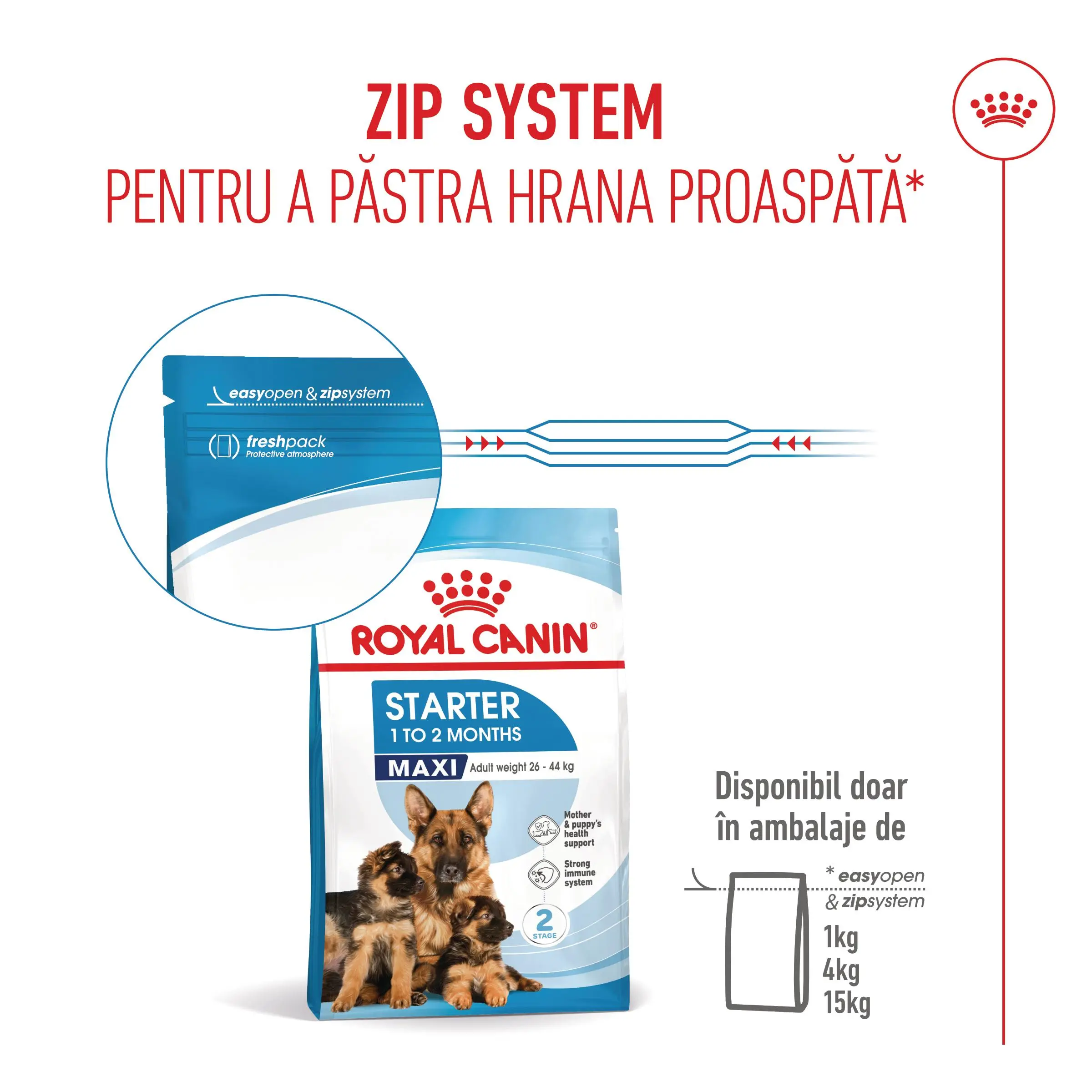 ROYAL CANIN Maxi Starter Mother & Babydog, mama si puiul, hrana uscata caini, 15kg - Image 12