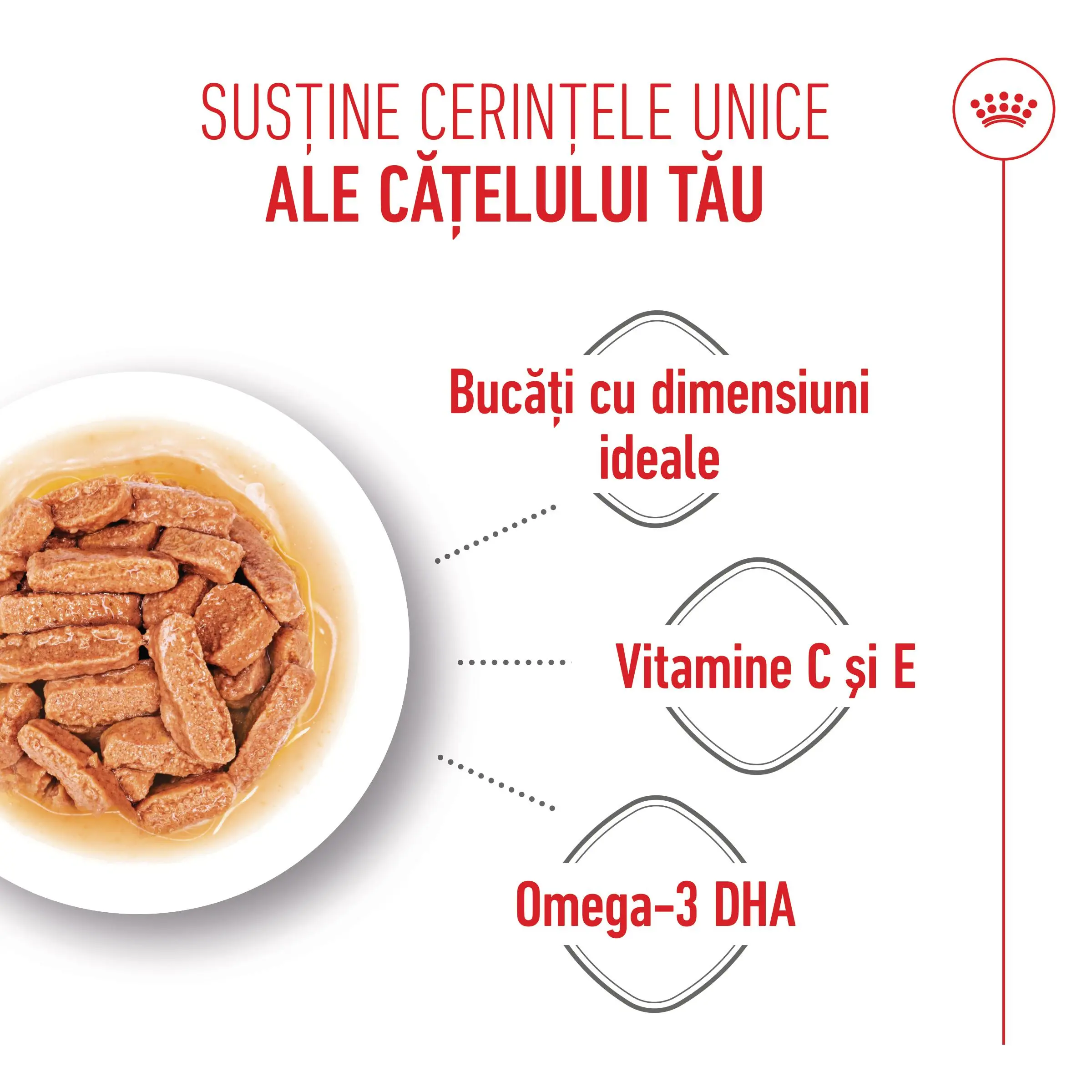 ROYAL CANIN Medium Puppy, hrana umeda caini junior, (in sos), bax, 140g x 10buc - Image 5