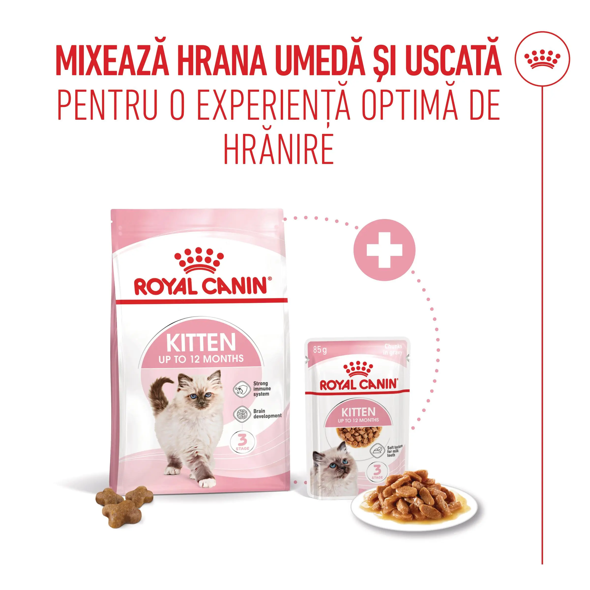 ROYAL CANIN Kitten, hrana umeda pisici junior, (in sos), bax, 85g x 12buc - Image 7