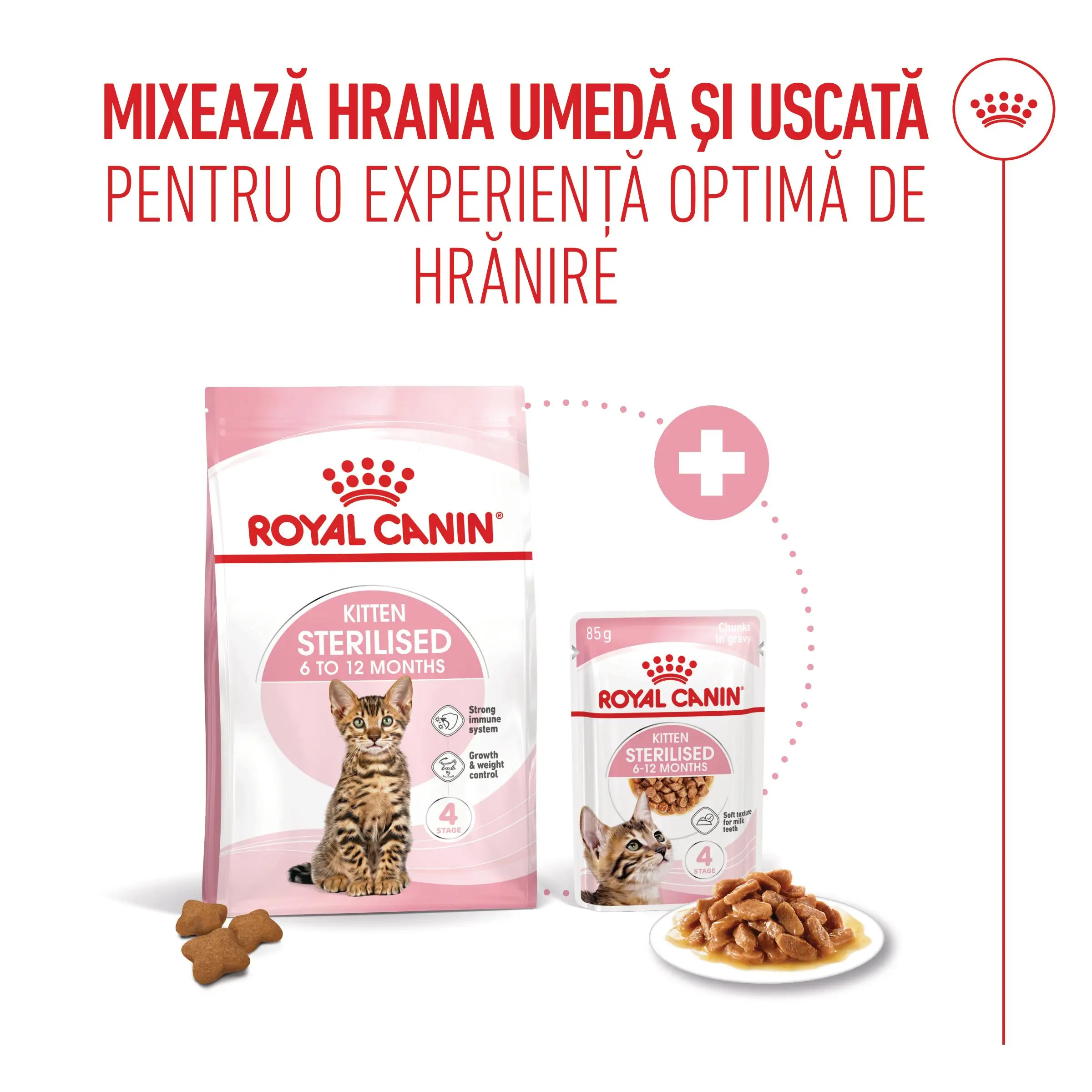 ROYAL CANIN Kitten Sterilised hrana umeda pisici sterilizate junior (in sos), 85g - Image 8