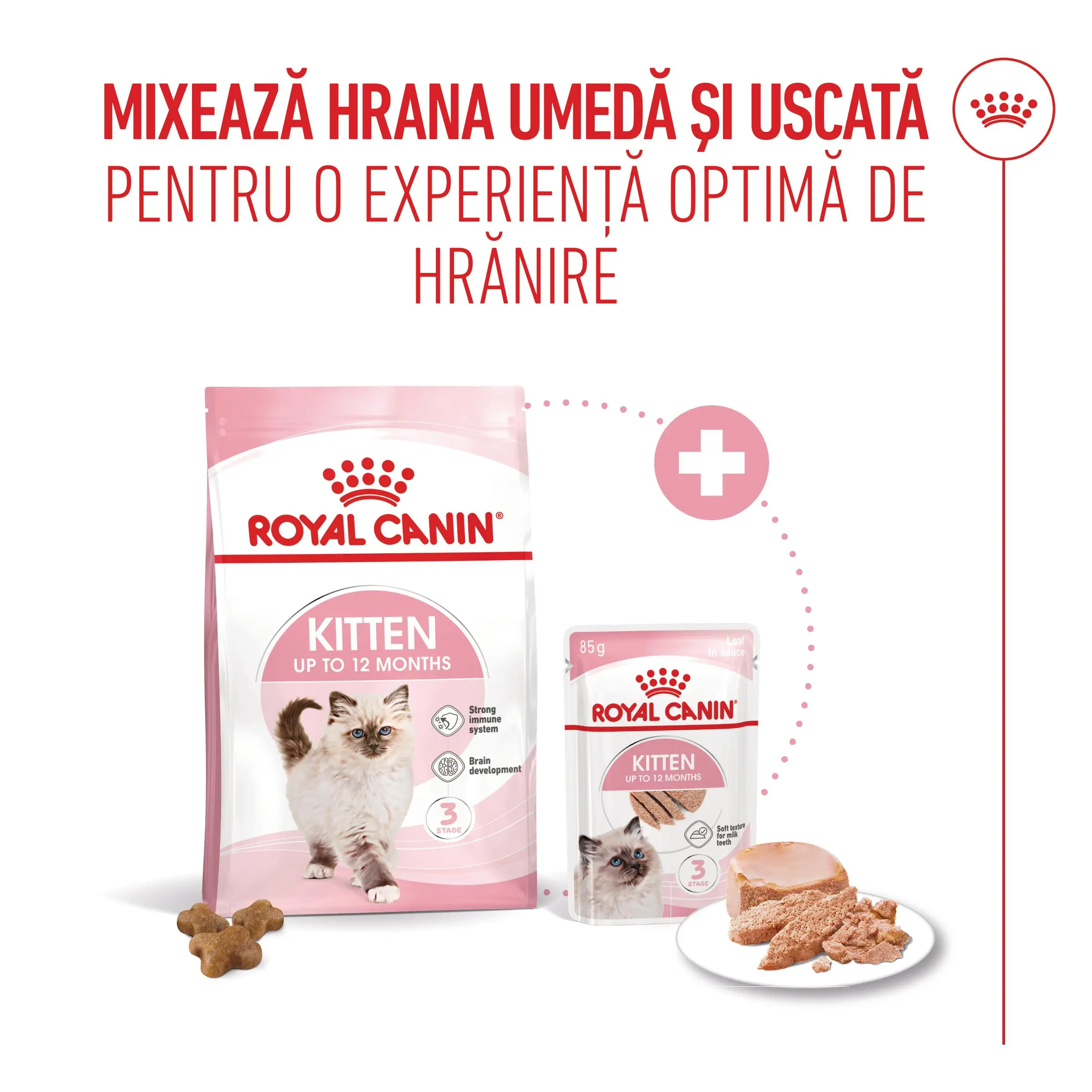 ROYAL CANIN Kitten, hrana umeda pisici junior, (pate), bax, 85g x 12buc - Image 7