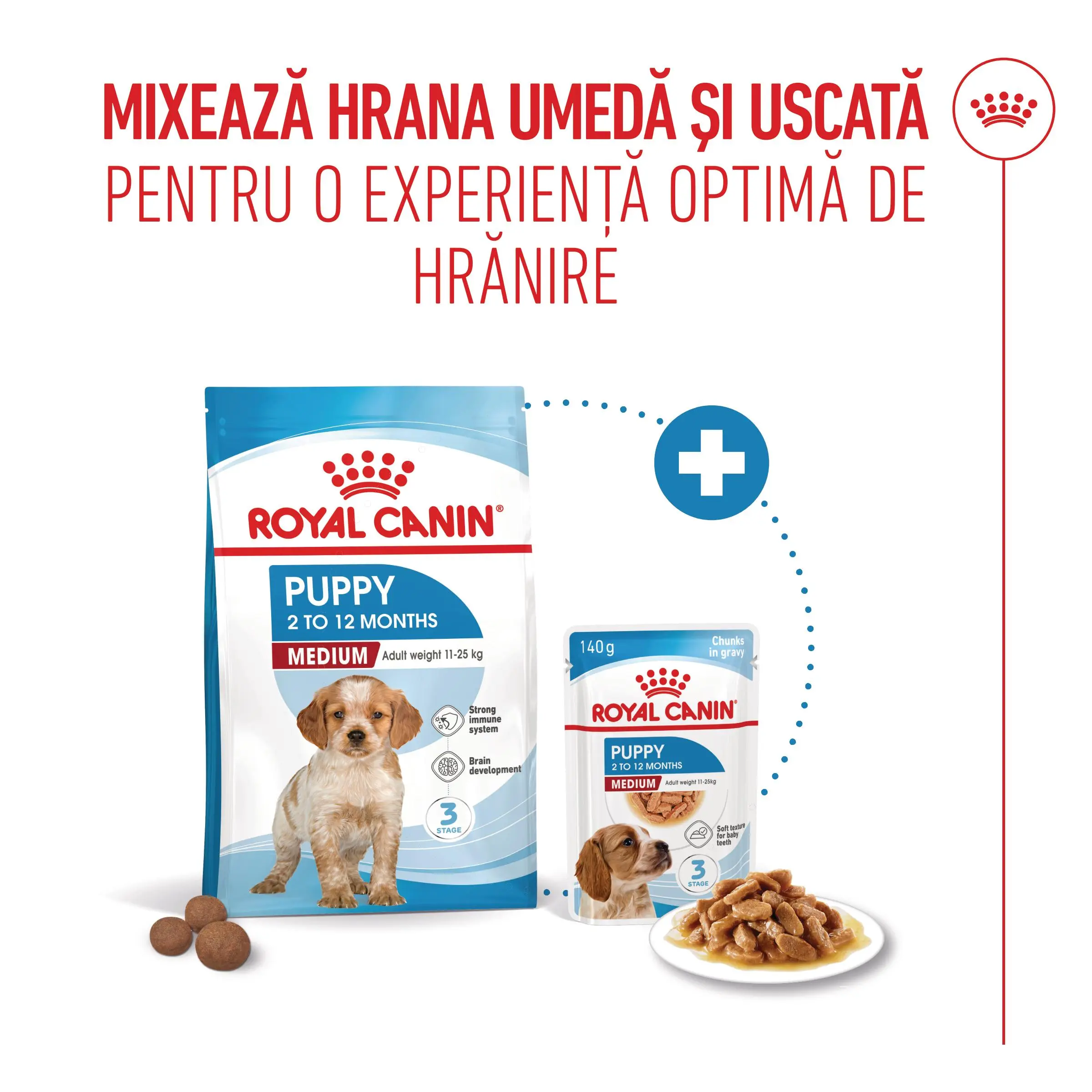 ROYAL CANIN Medium Puppy, hrana umeda caini junior, (in sos), bax, 140g x 10buc - Image 8