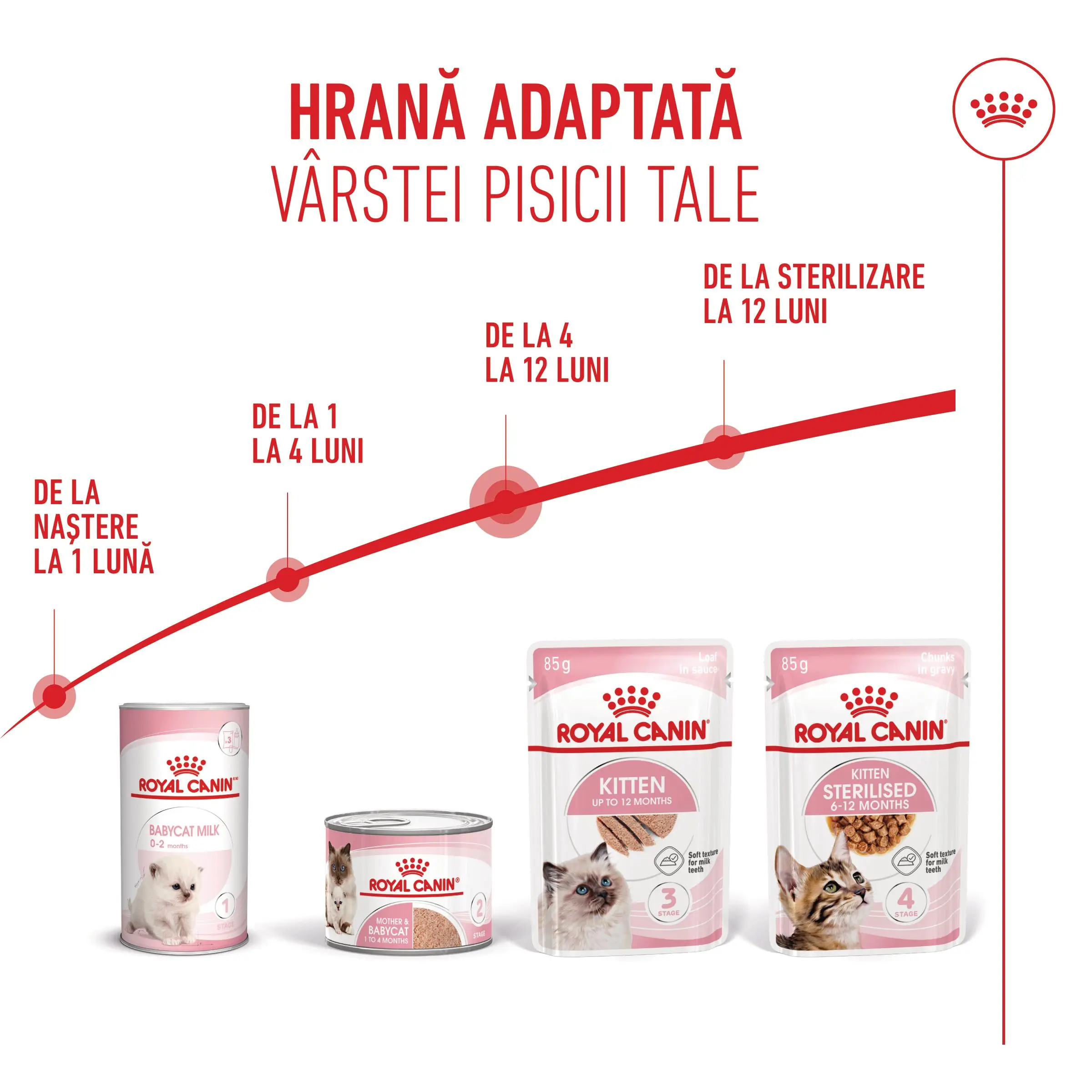 ROYAL CANIN Kitten, hrana umeda pisici junior, (pate), bax, 85g x 12buc - Image 8