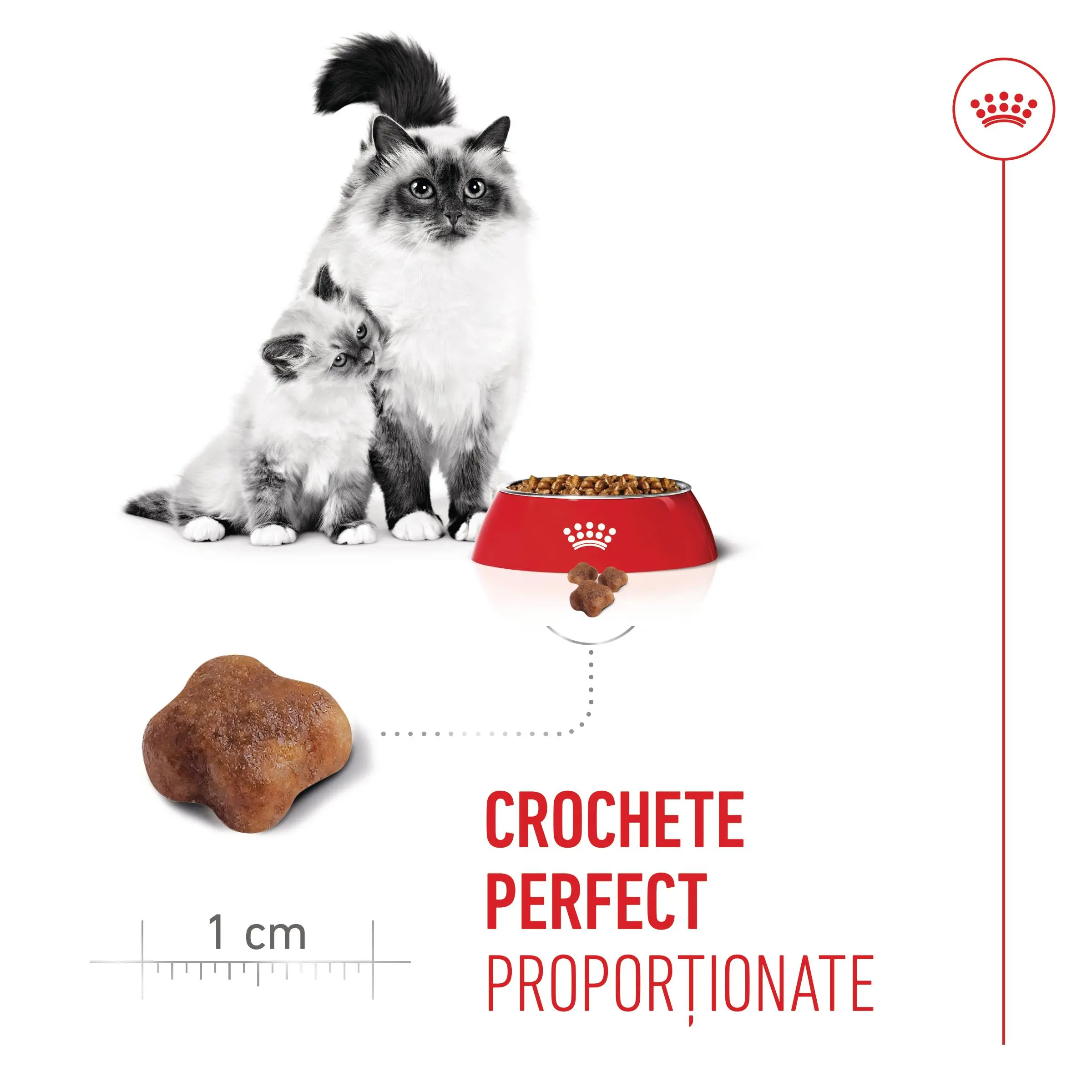 ROYAL CANIN Mother & BabyCat, hrana uscata pisici, mama si puiul, 400g - Image 6