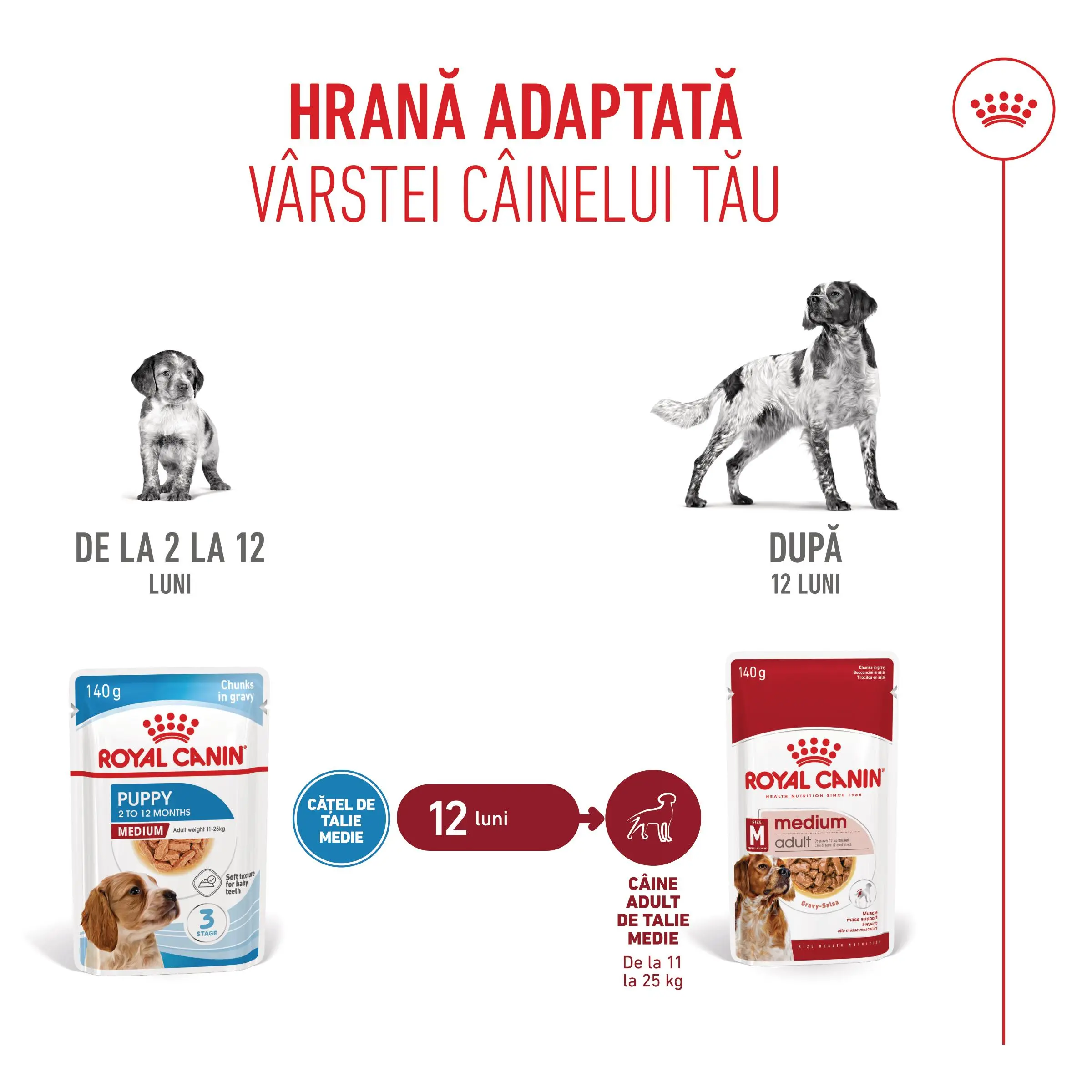 ROYAL CANIN Medium Puppy, hrana umeda caini junior, (in sos), bax, 140g x 10buc - Image 9