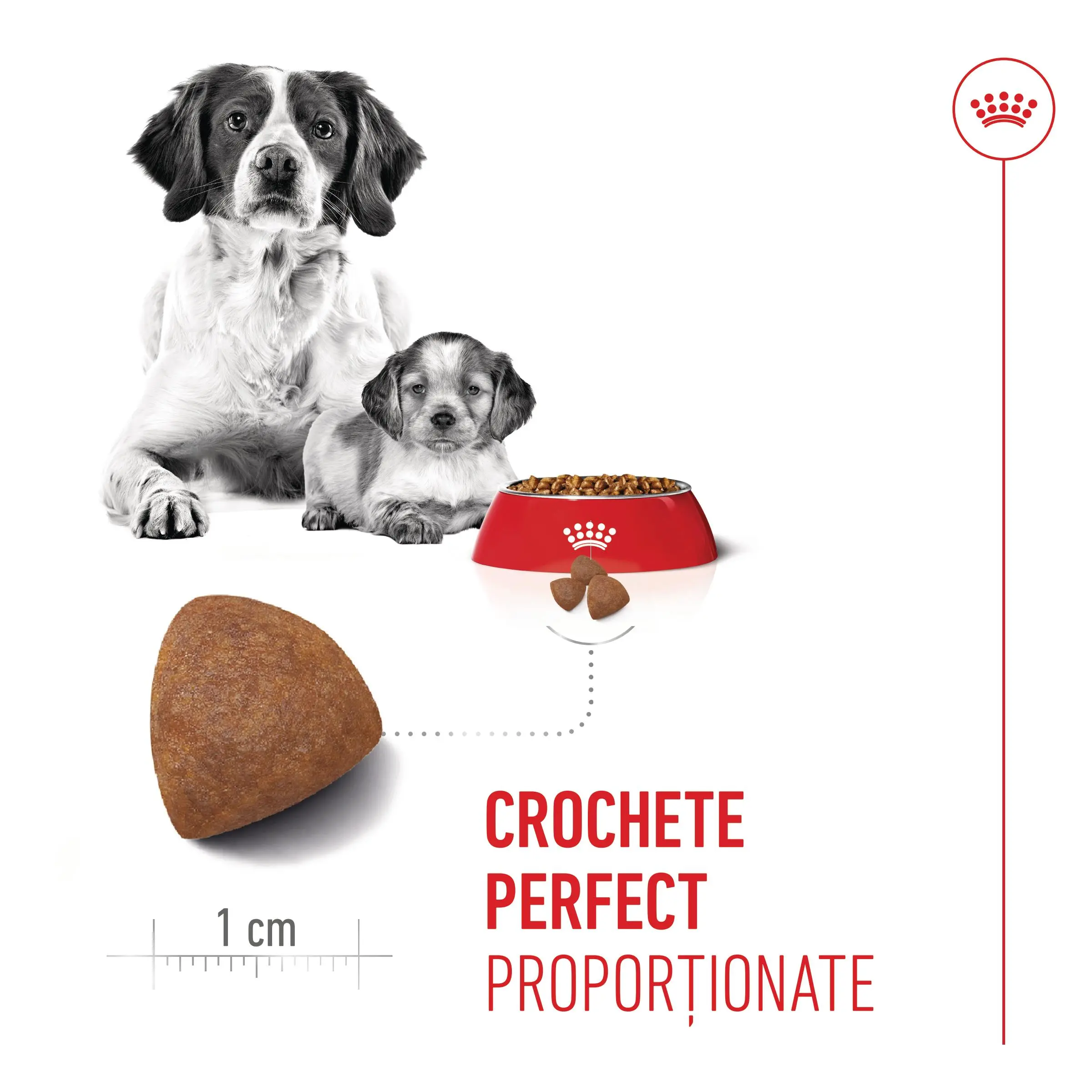ROYAL CANIN Medium Starter Mother & Babydog, mama si puiul, hrana uscata caini, 4kg - Image 6