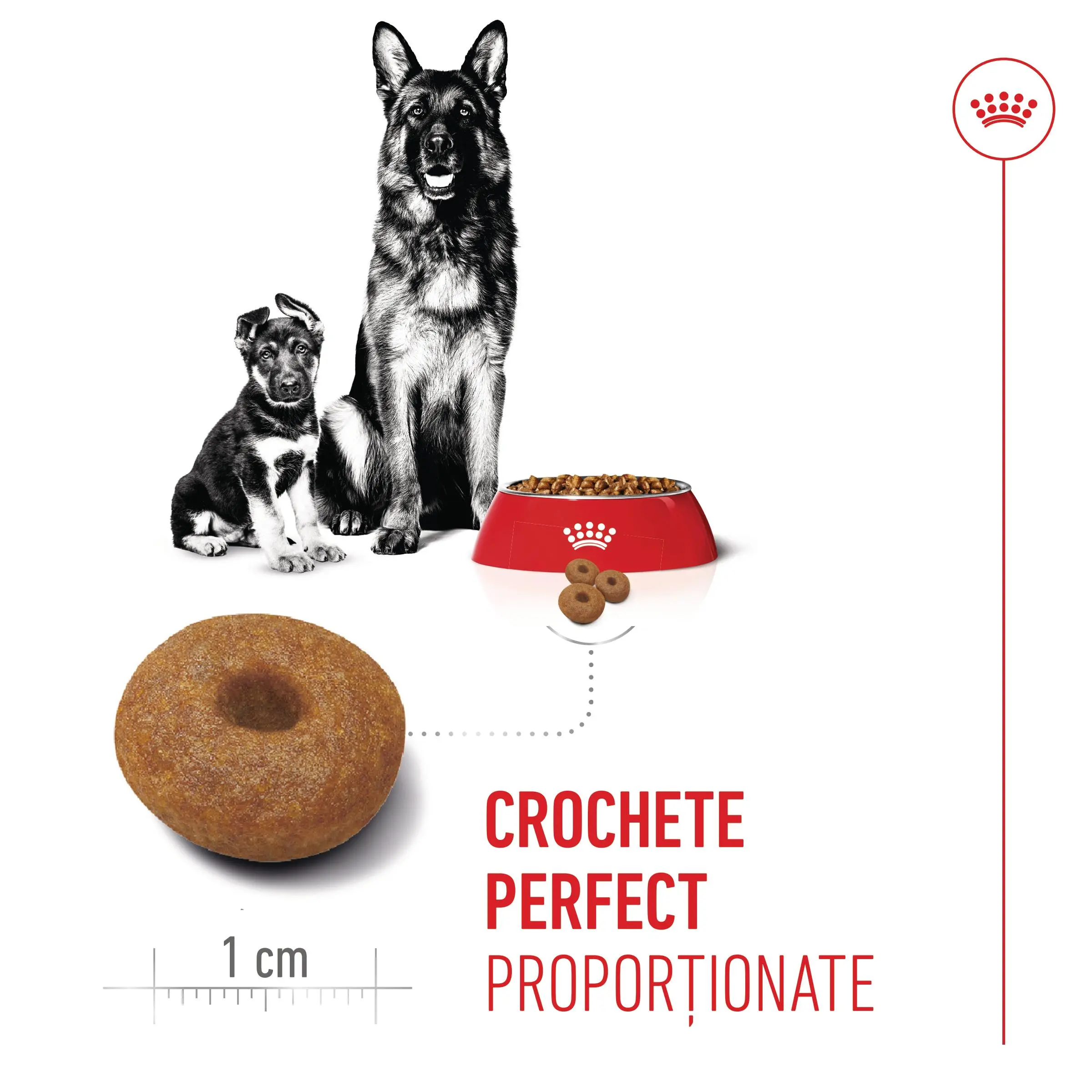 ROYAL CANIN Maxi Starter Mother & Babydog, mama si puiul, hrana uscata caini, 4kg - Image 6