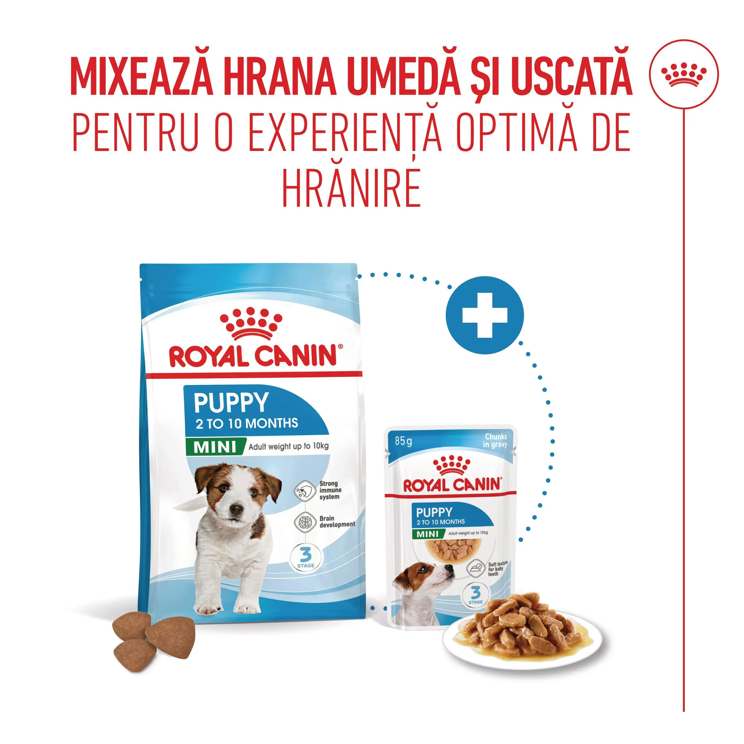 ROYAL CANIN Mini Puppy, hrana uscata caini junior, 4kg - Image 10
