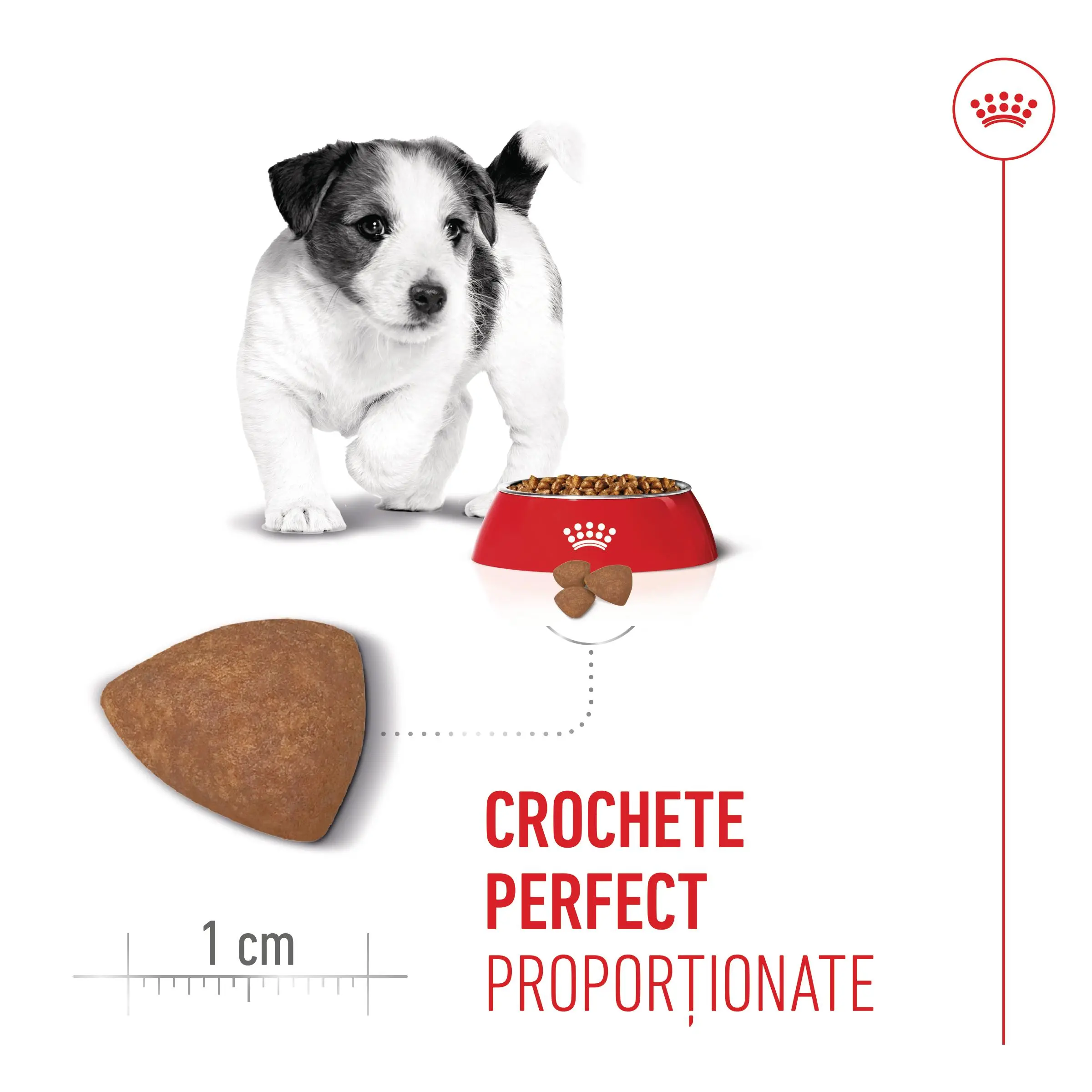 ROYAL CANIN Mini Puppy, hrana uscata caini junior, 8kg - Image 6