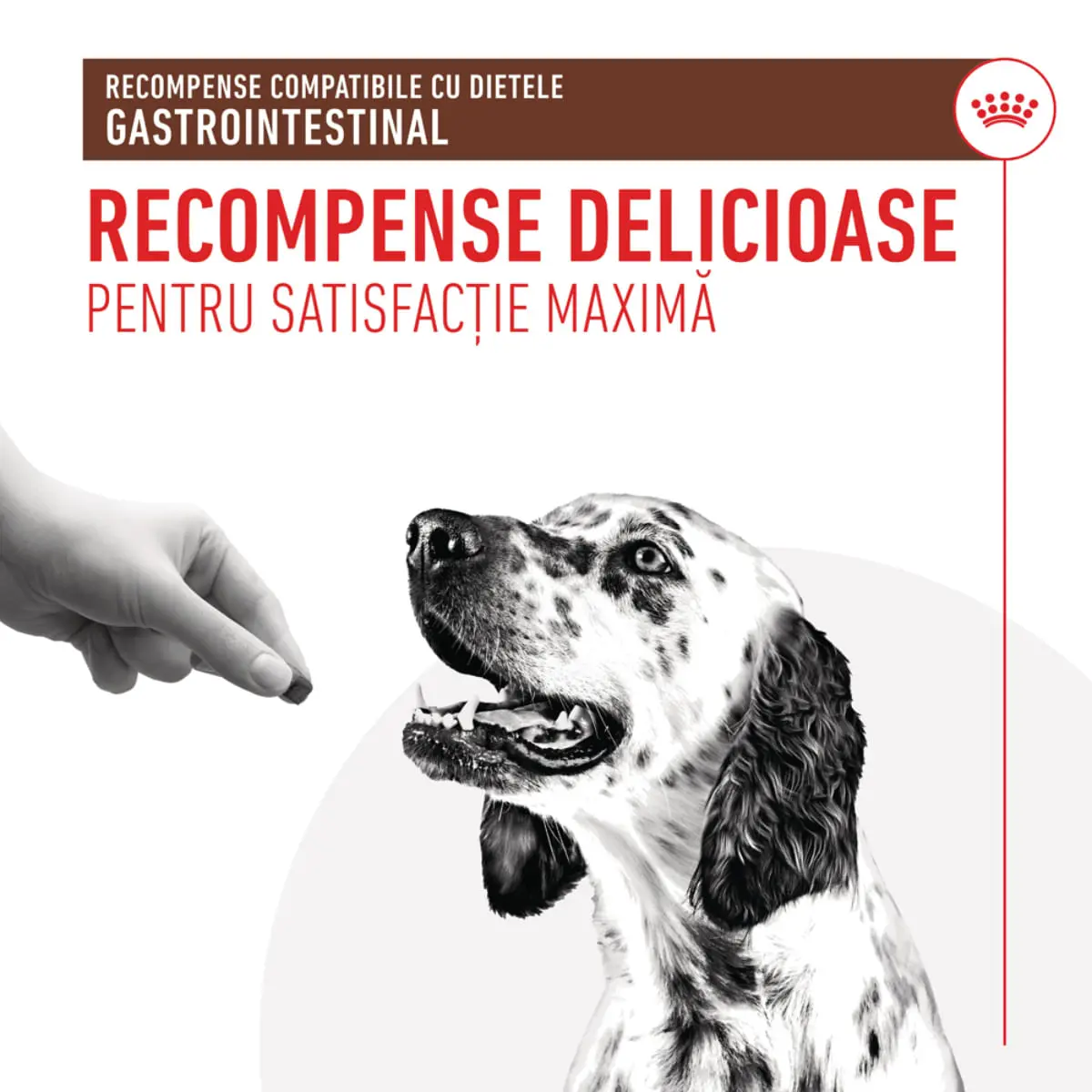 ROYAL CANIN VETERINARY DIET Gastrointestinal Treats, punguta recompense functionale caini, sistem digestiv, 230g - Image 4