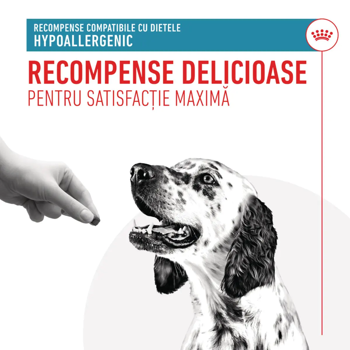 ROYAL CANIN VETERINARY DIET Hypoallergenic Treats, punguta recompense functionale caini, alergii, 230g - Image 4