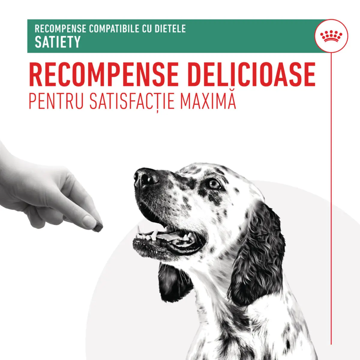 ROYAL CANIN VETERINARY DIET Satiety Treats, punguta recompense functionale caini, obezitate, 230g - Image 4