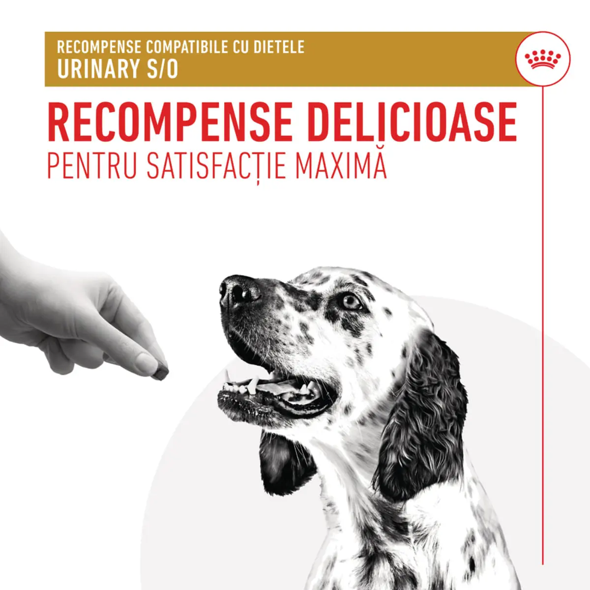 ROYAL CANIN VETERINARY DIET Urinary S/O Treats, punguta recompense functionale caini, sistem urinar, 230g - Image 4