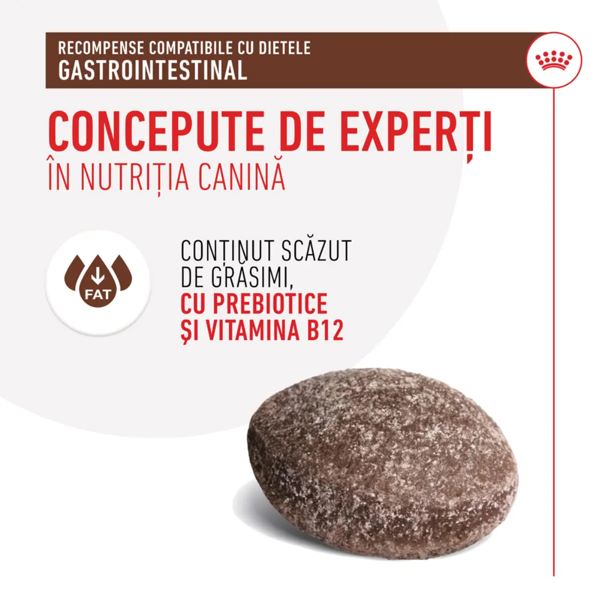 ROYAL CANIN VETERINARY DIET Gastrointestinal Treats, punguta recompense functionale caini, sistem digestiv, 230g - Image 5