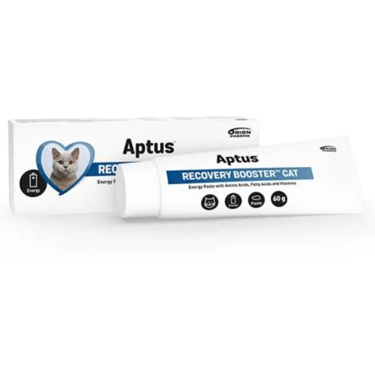 APTUS Recovery Booster, supliment convalescenta pisici, pasta orala APTUS Recovery Booster, supliment convalescenta pisici, tub, 60g pasta orala
