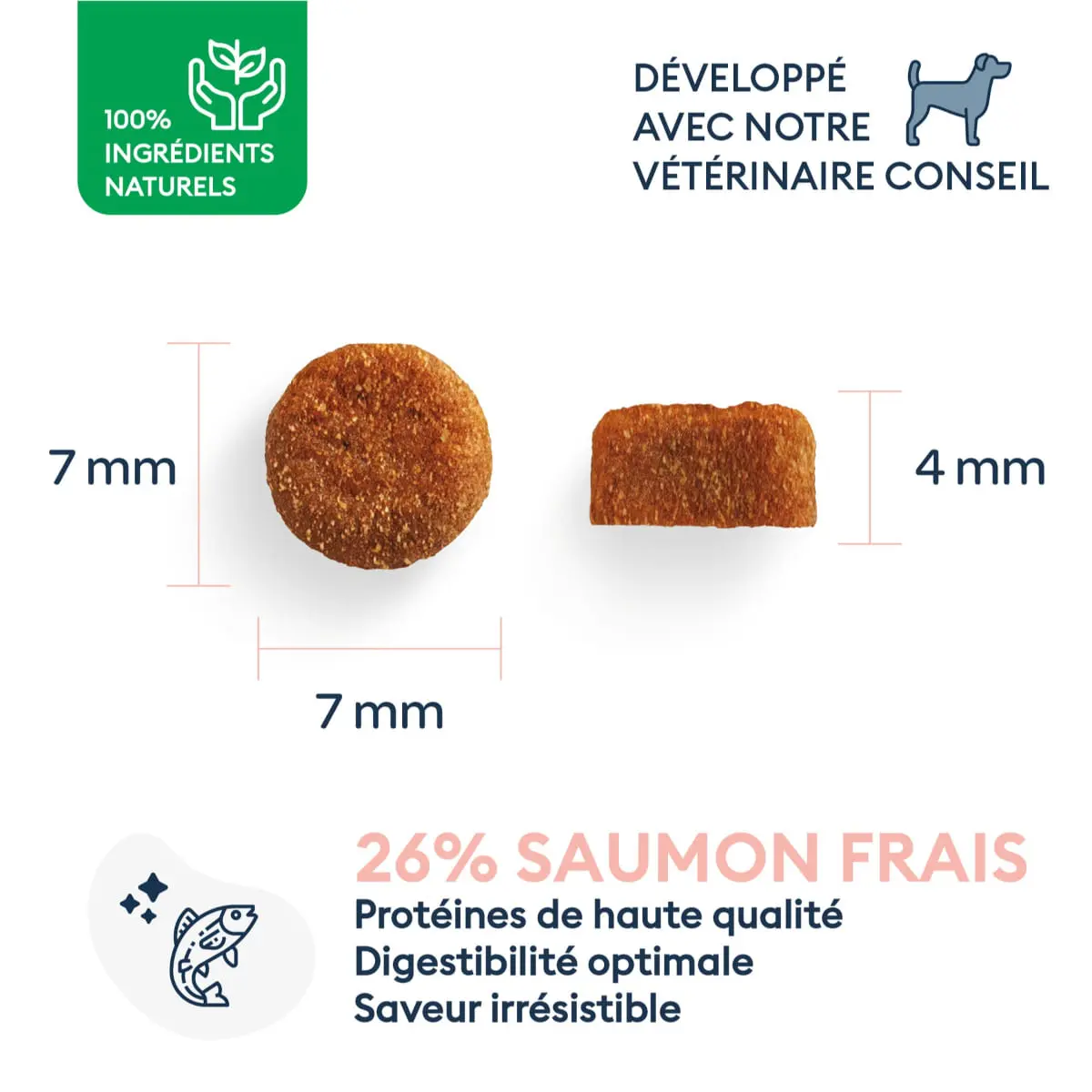 MARLY&DAN Puppy&Junior Small Breed, XS-S, Somon, hrana uscata fara cereale caini junior, 1.5kg - Image 3