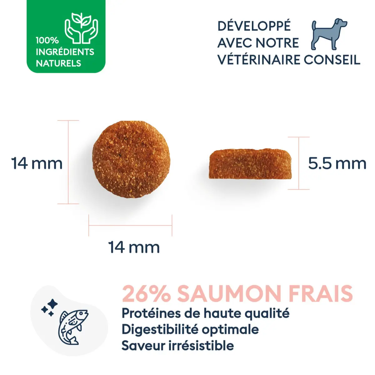 MARLY&DAN Adult Medium Breed, M, Somon, hrana uscata fara cereale caini, 4kg - Image 3