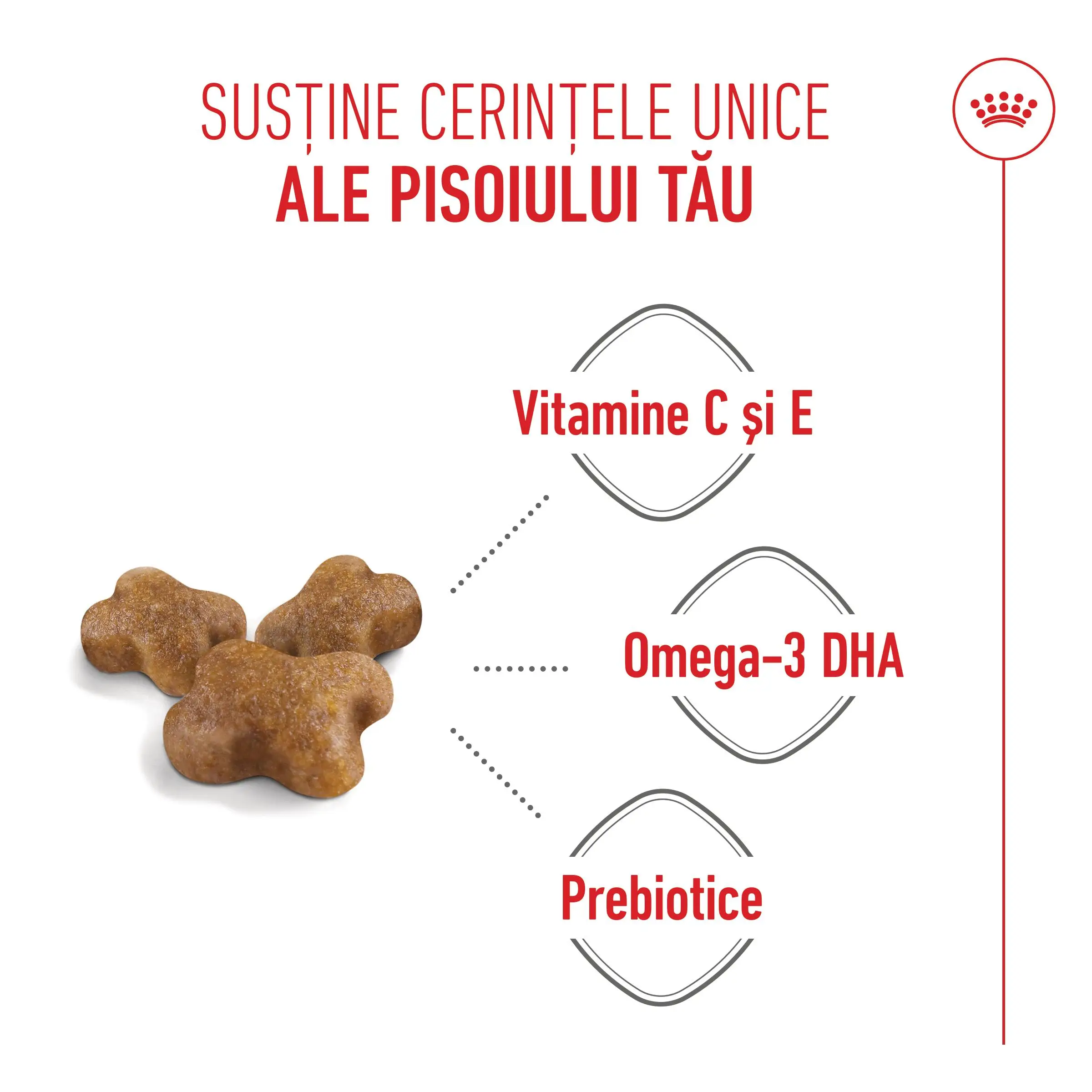 PROMO ROYAL CANIN Kitten, hrana uscata pisici junior, 400g, 60% REDUCERE la al Doilea Produs - Image 6
